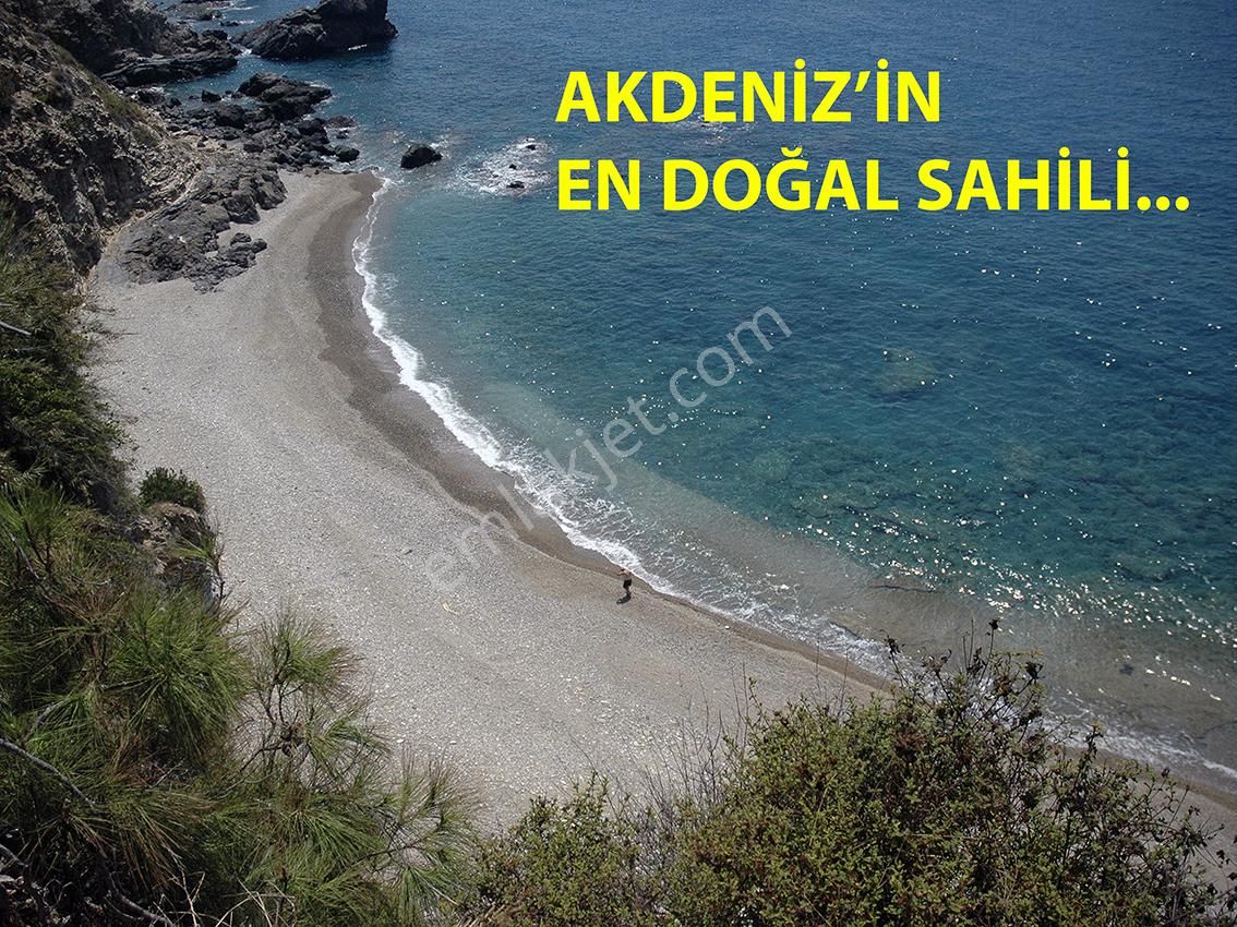 Anamur'da Denize Sıfır, Özel Plajlı, 40,5 Dönüm Arazi - Görsel 3