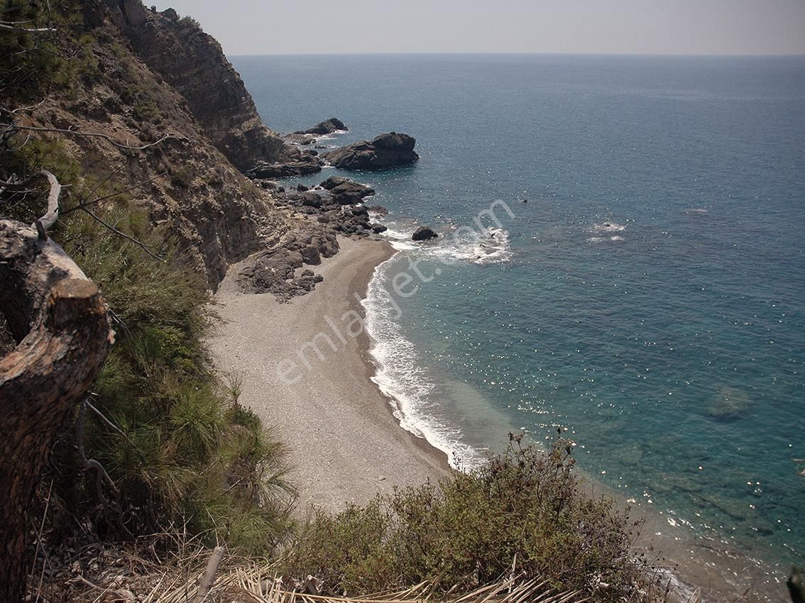 Anamur'da Denize Sıfır, Özel Plajlı, 40,5 Dönüm Arazi - Görsel 2