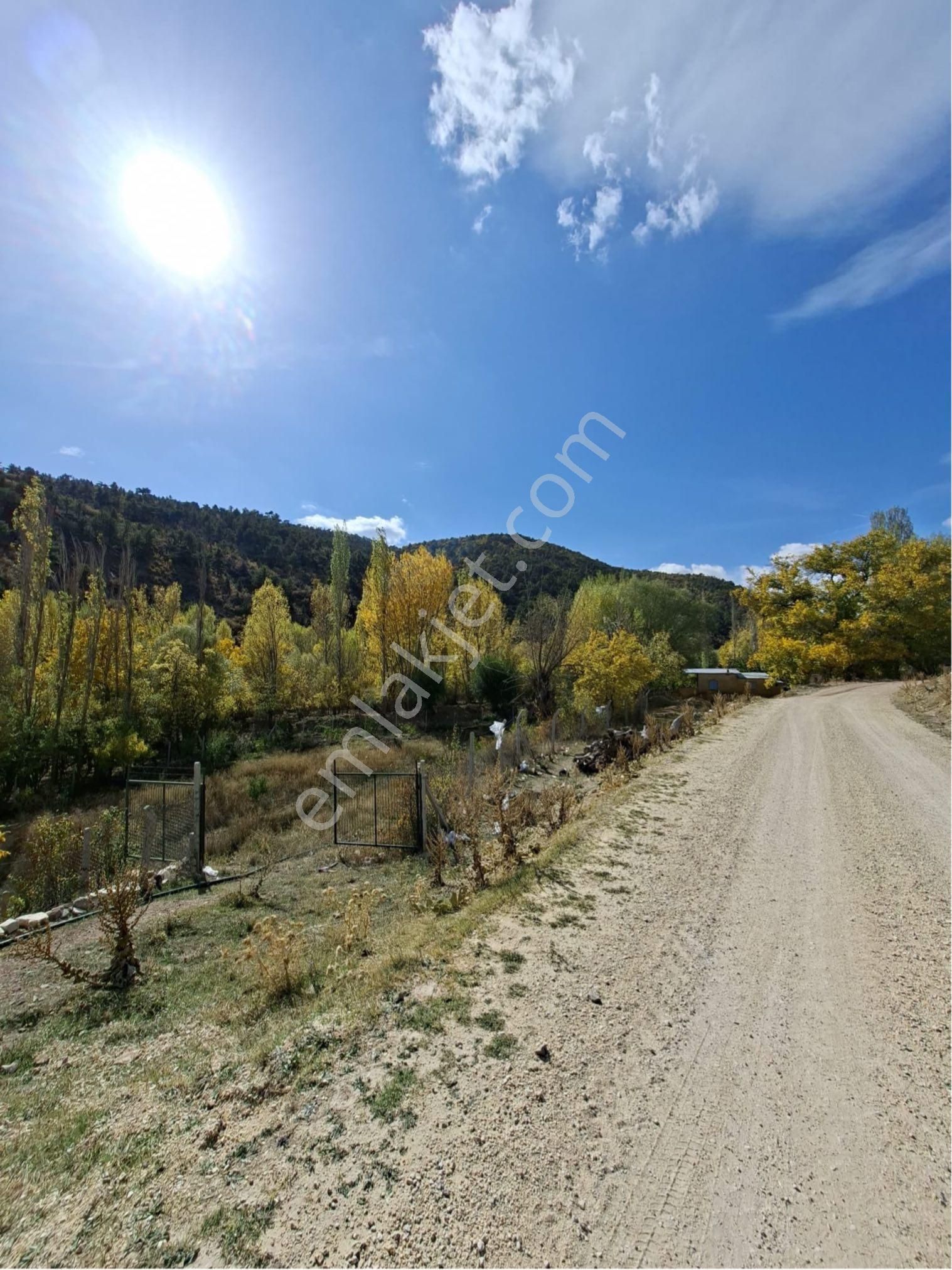 Benim De Bahçem Olsun Diyene