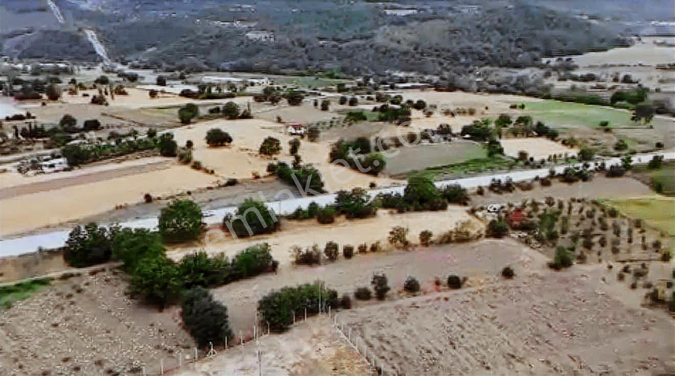 Yoldaş Emlaktan Bilecikte 1208 M2 Tarla - Görsel 5