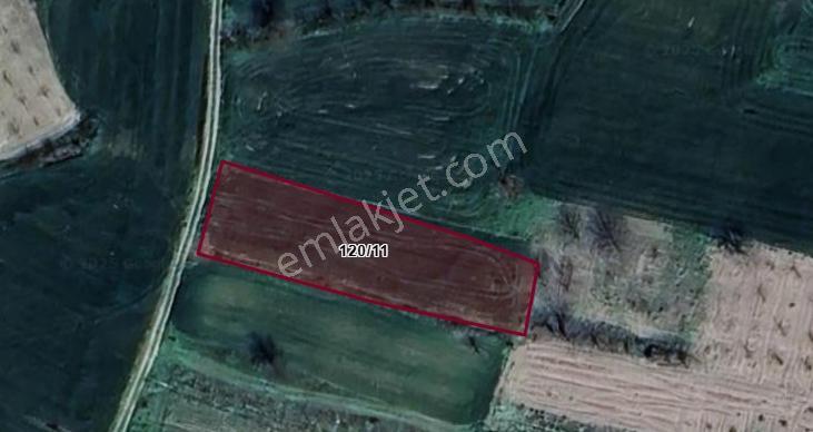 Yoldaş Emlaktan Bilecikte 1208 M2 Tarla - Görsel 2