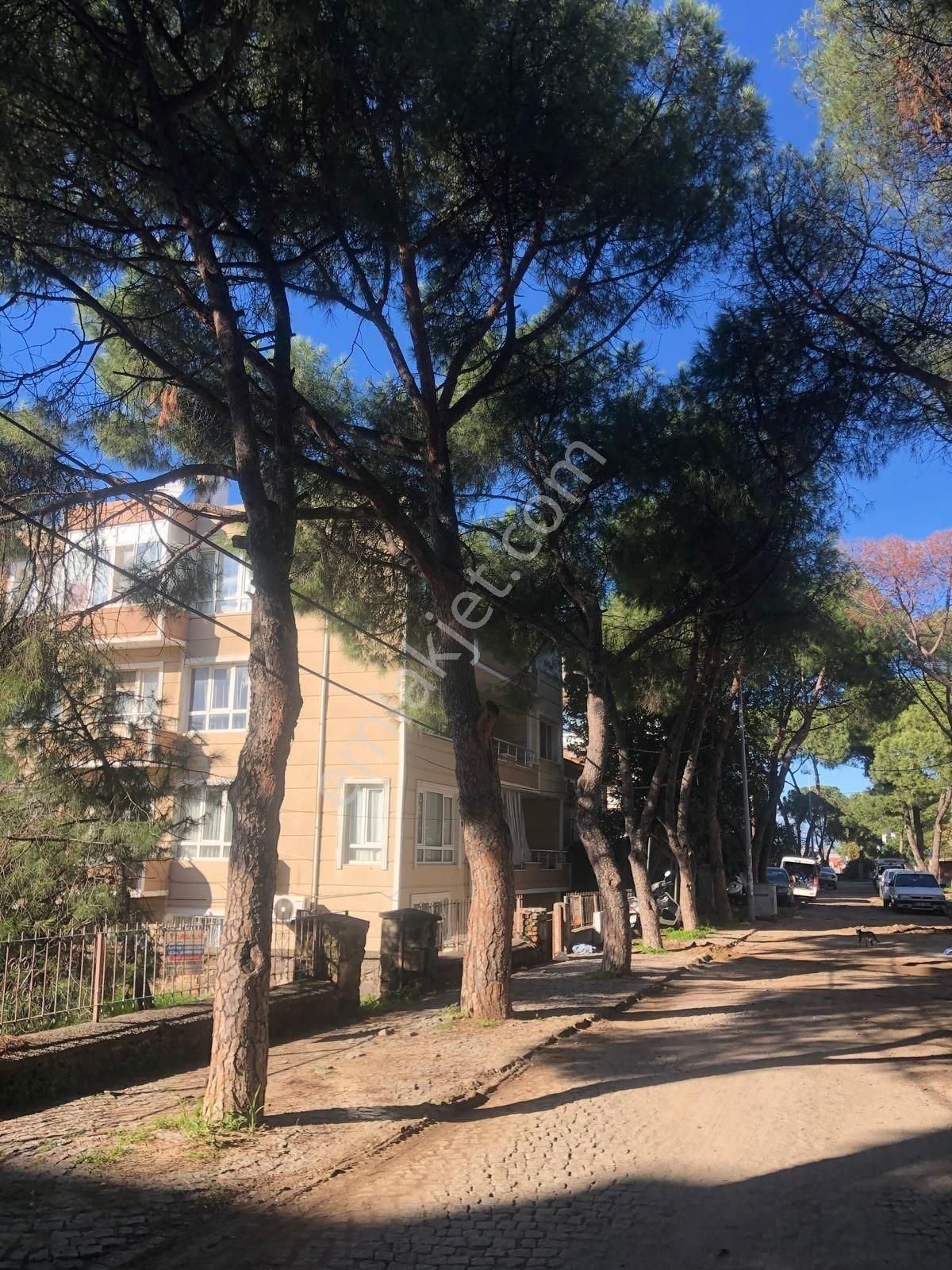 Ayvalık Merkezde Avantajlı Satılık 3+1 Daire - Görsel 2