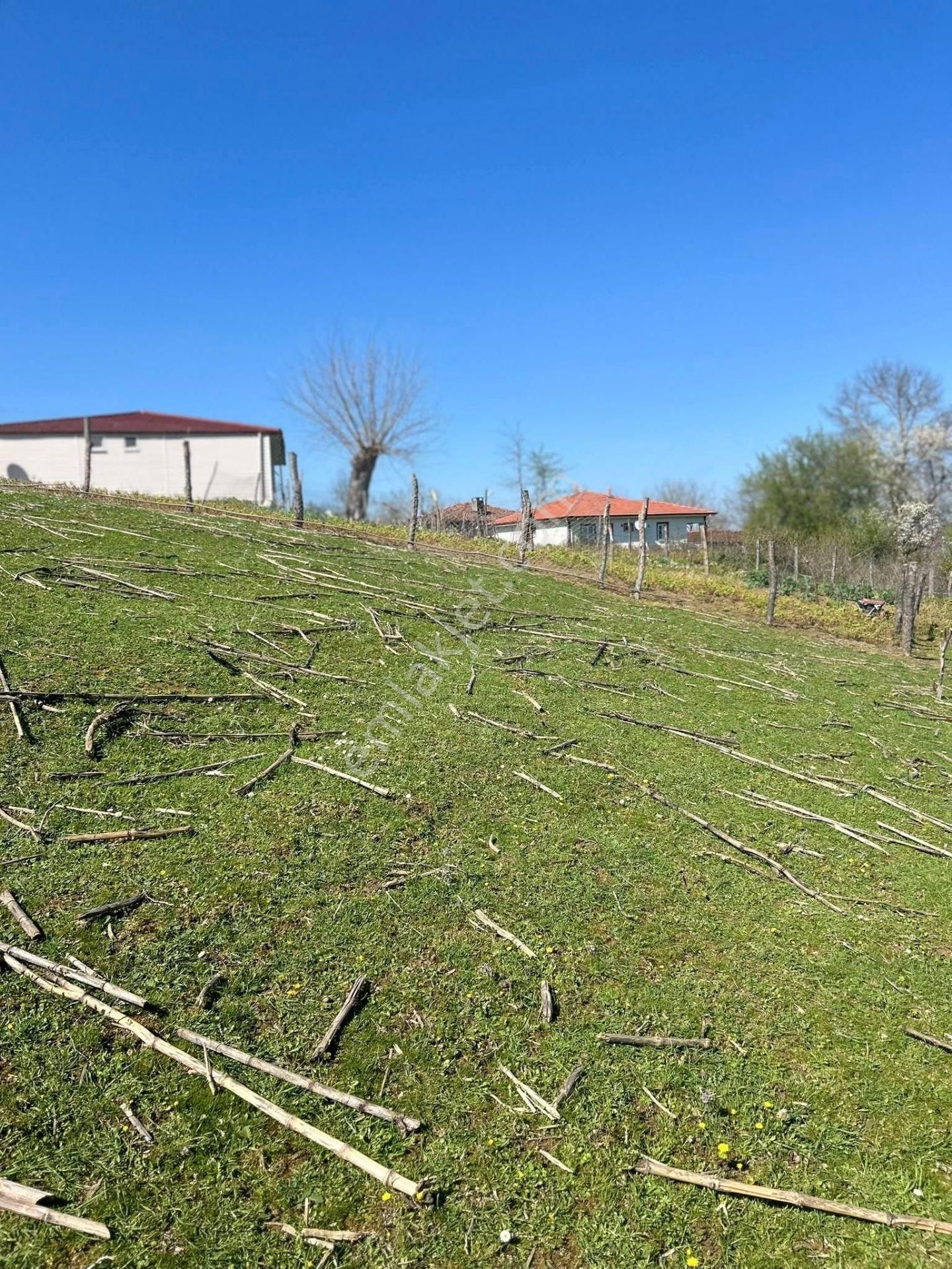 Kandıra Terziler Mahallesinde Ana Yola 2.parsel 3702 M2 Tarla Satılık - Görsel 4