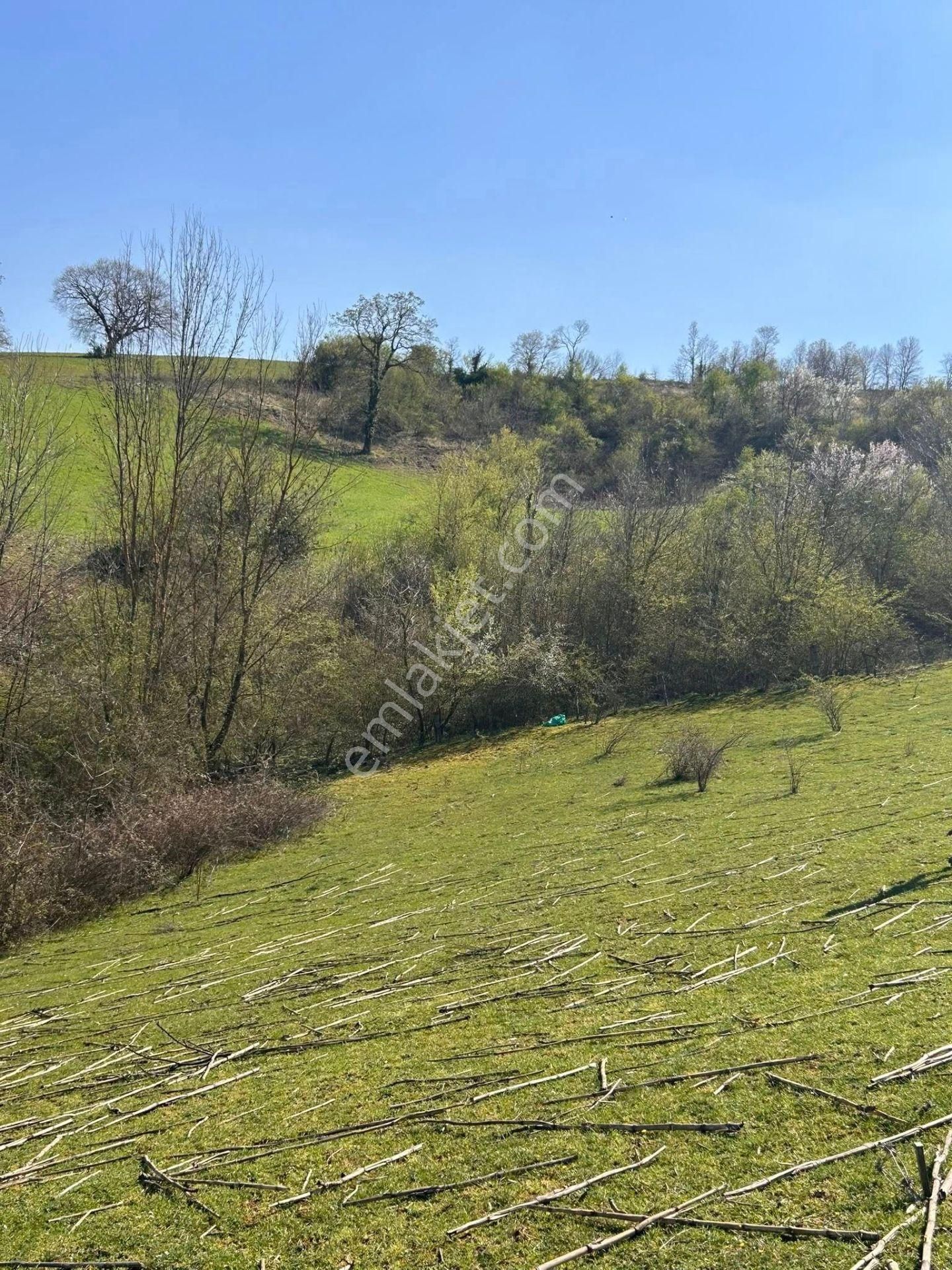 Kandıra Terziler Mahallesinde Ana Yola 2.parsel 3702 M2 Tarla Satılık - Görsel 3