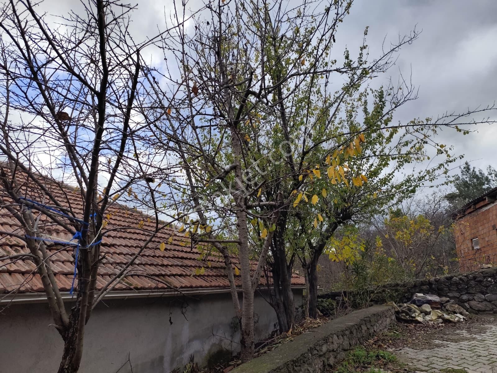 Elfi Den Bigadiç Kayırlar Mah. Satılık Çiftlik - Görsel 13