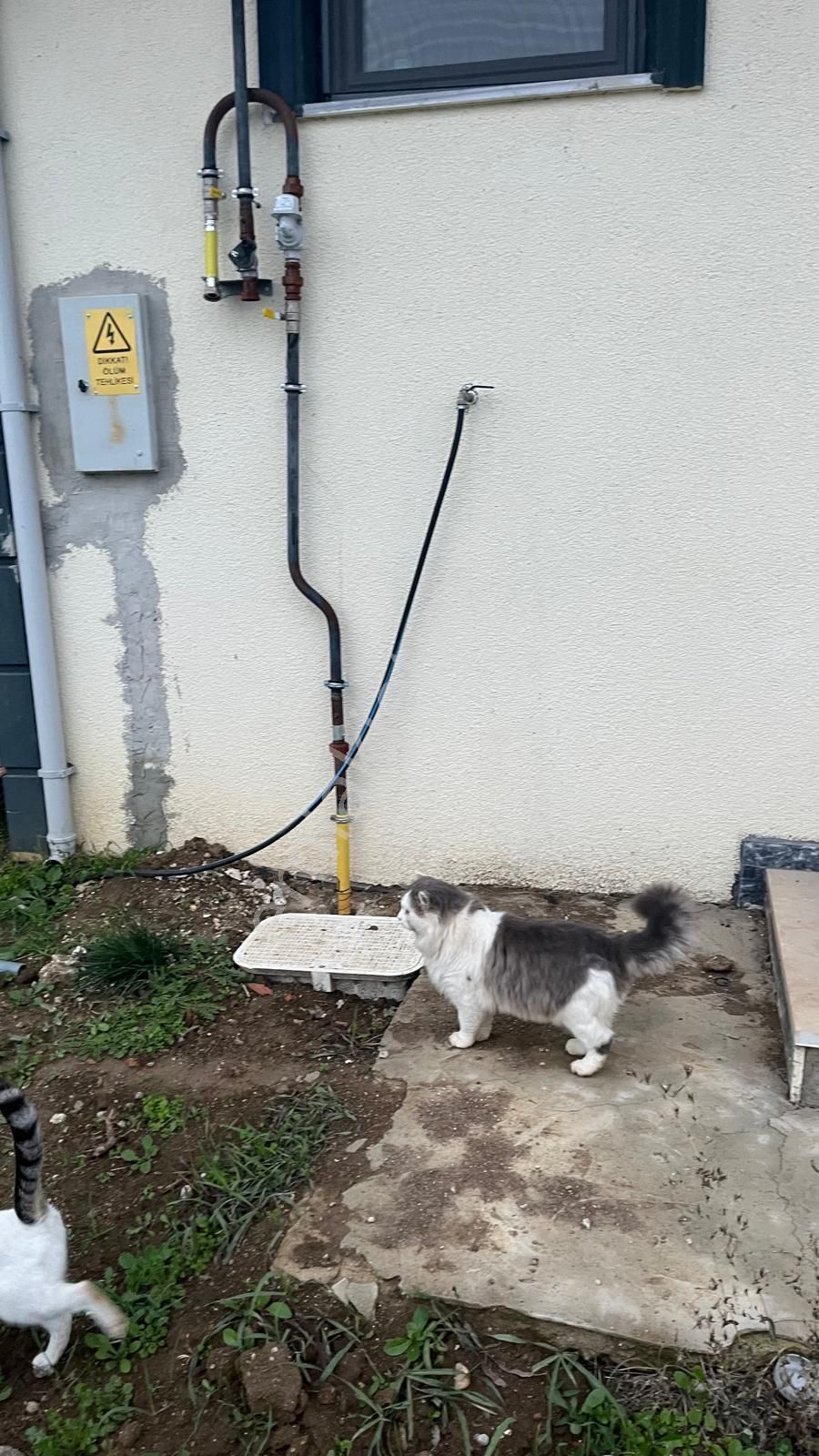 Haydar Emlaktan Yenicede 179 M2 Arsa İçinde Dubleks 3 Yaşında Villa - Görsel 21