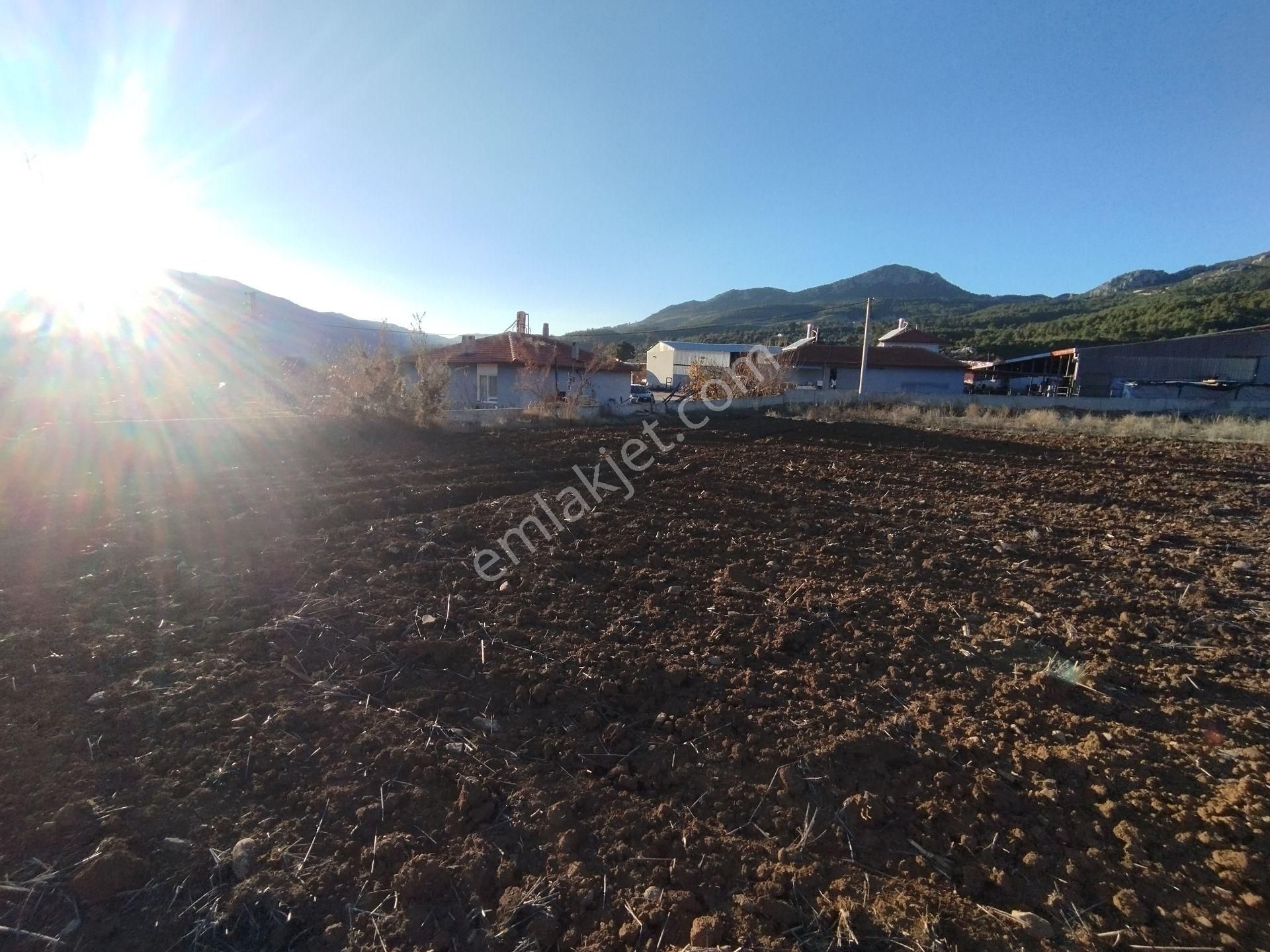 Yeşilliği İle Meşhur Bağsaray Köyünde Yatırımlık Üretimlik Tarla - Görsel 14