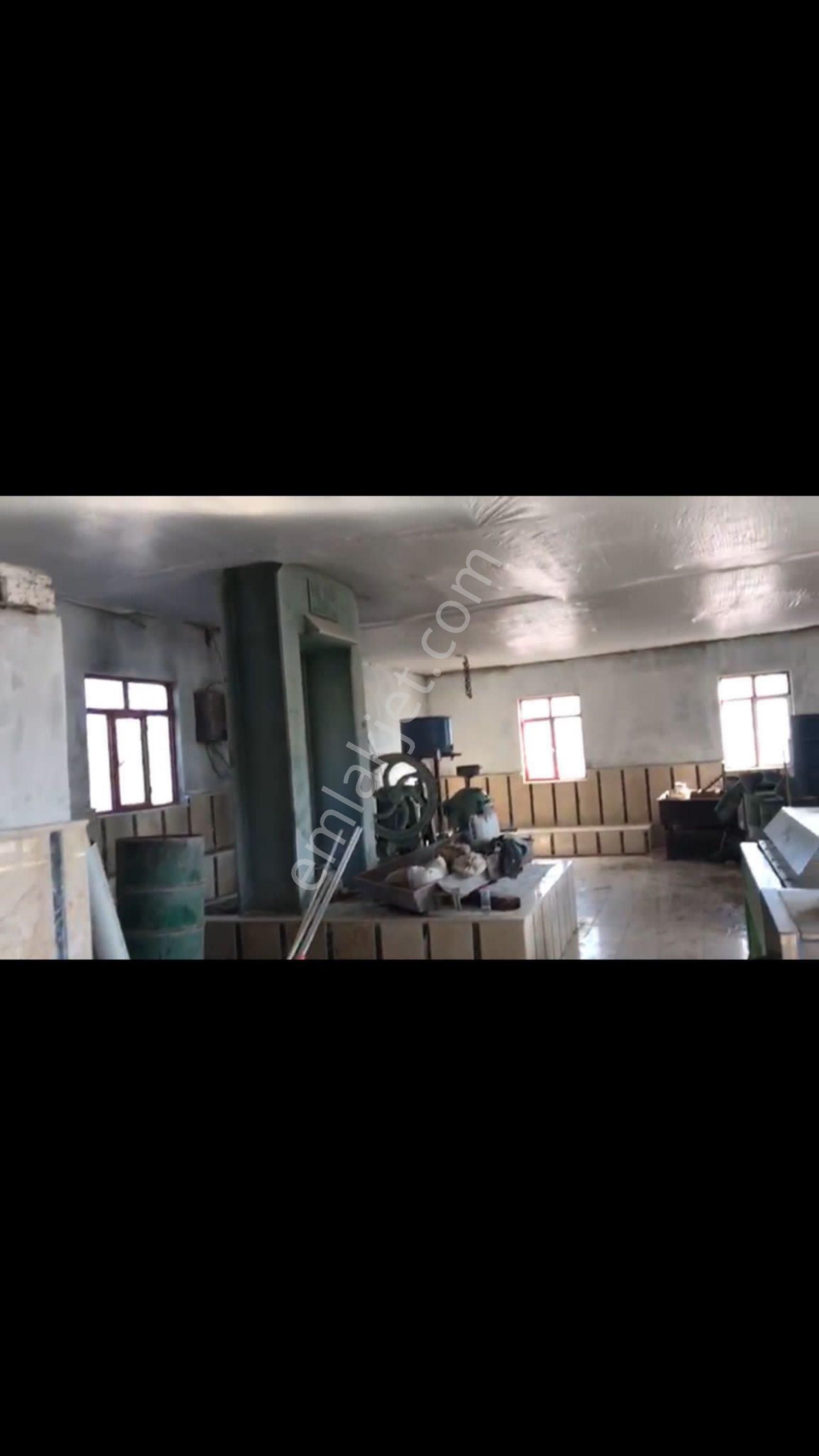 Merkez Gayrimenkulden Satılık Zeytinyağı Fabrikası (yağhane)