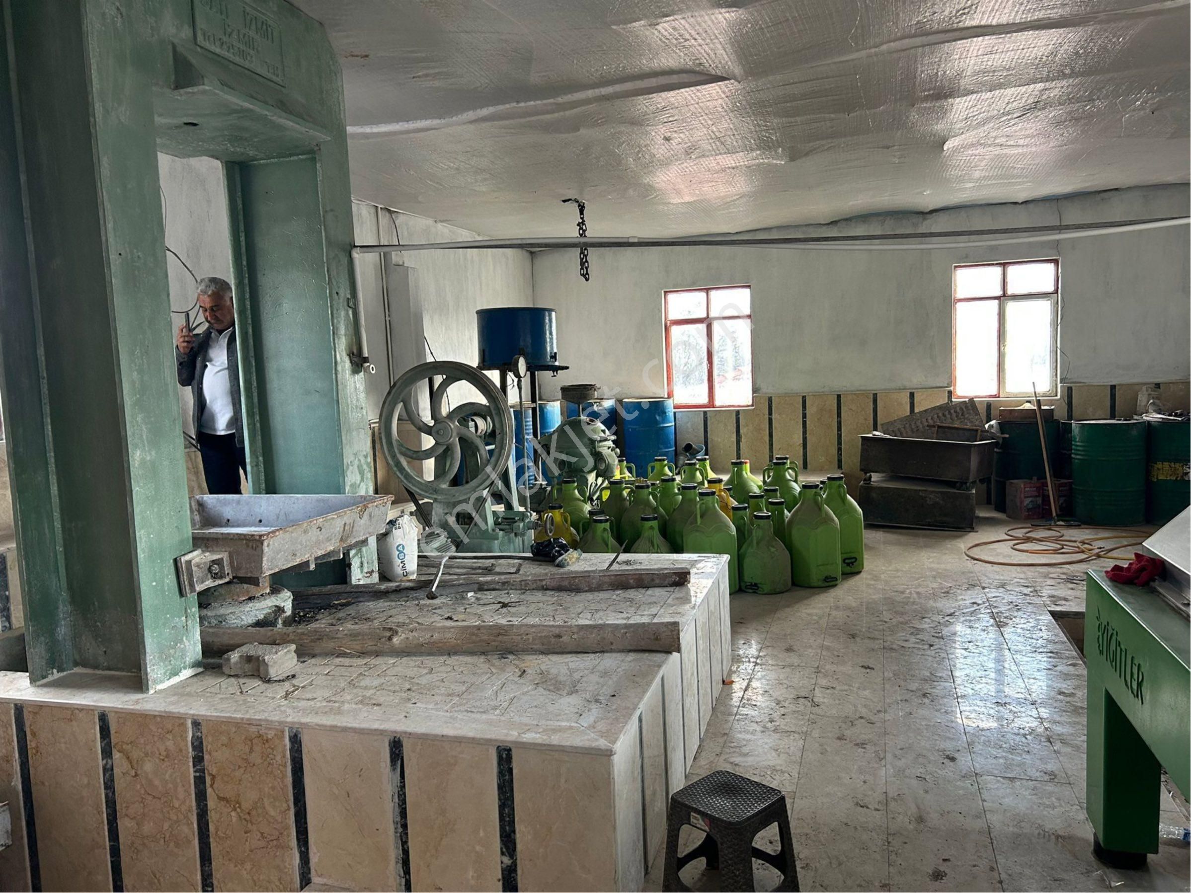 Merkez Gayrimenkulden Satılık Zeytinyağı Fabrikası (yağhane) - Görsel 3
