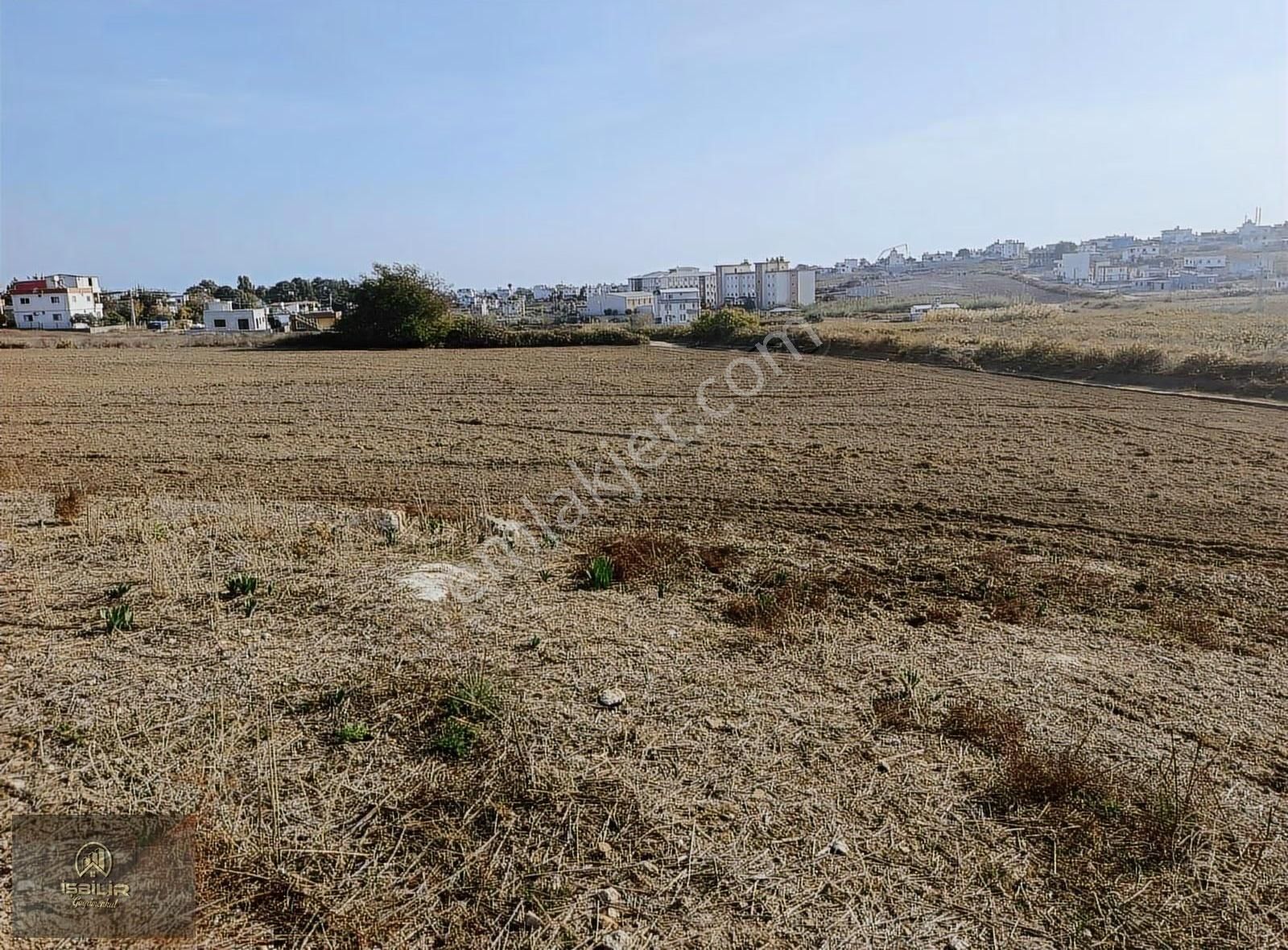Karataş İskelede 1000 Mt Arsa - Görsel 16