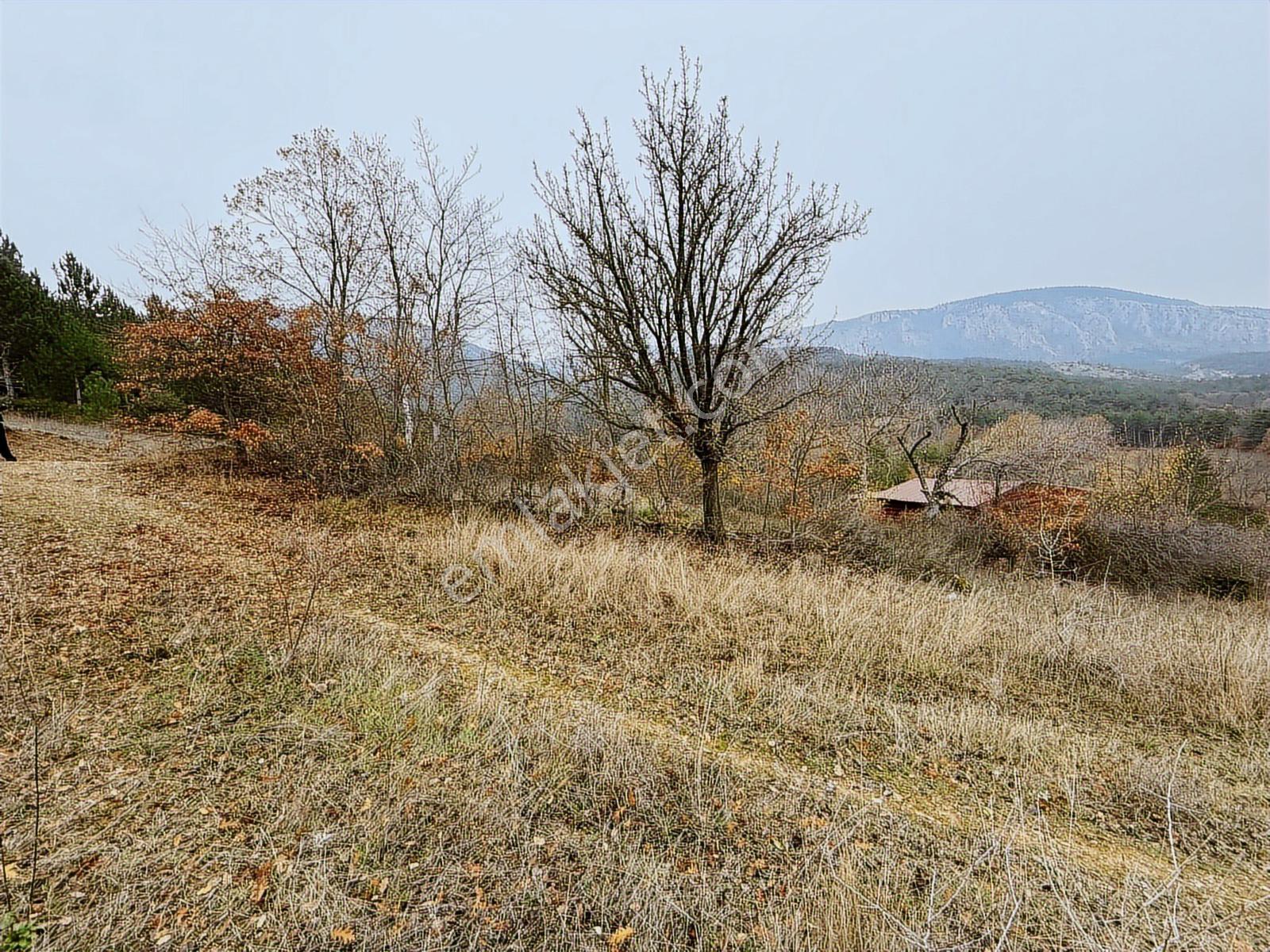 Resmi Yollu Arsa 206m2 - Görsel 31