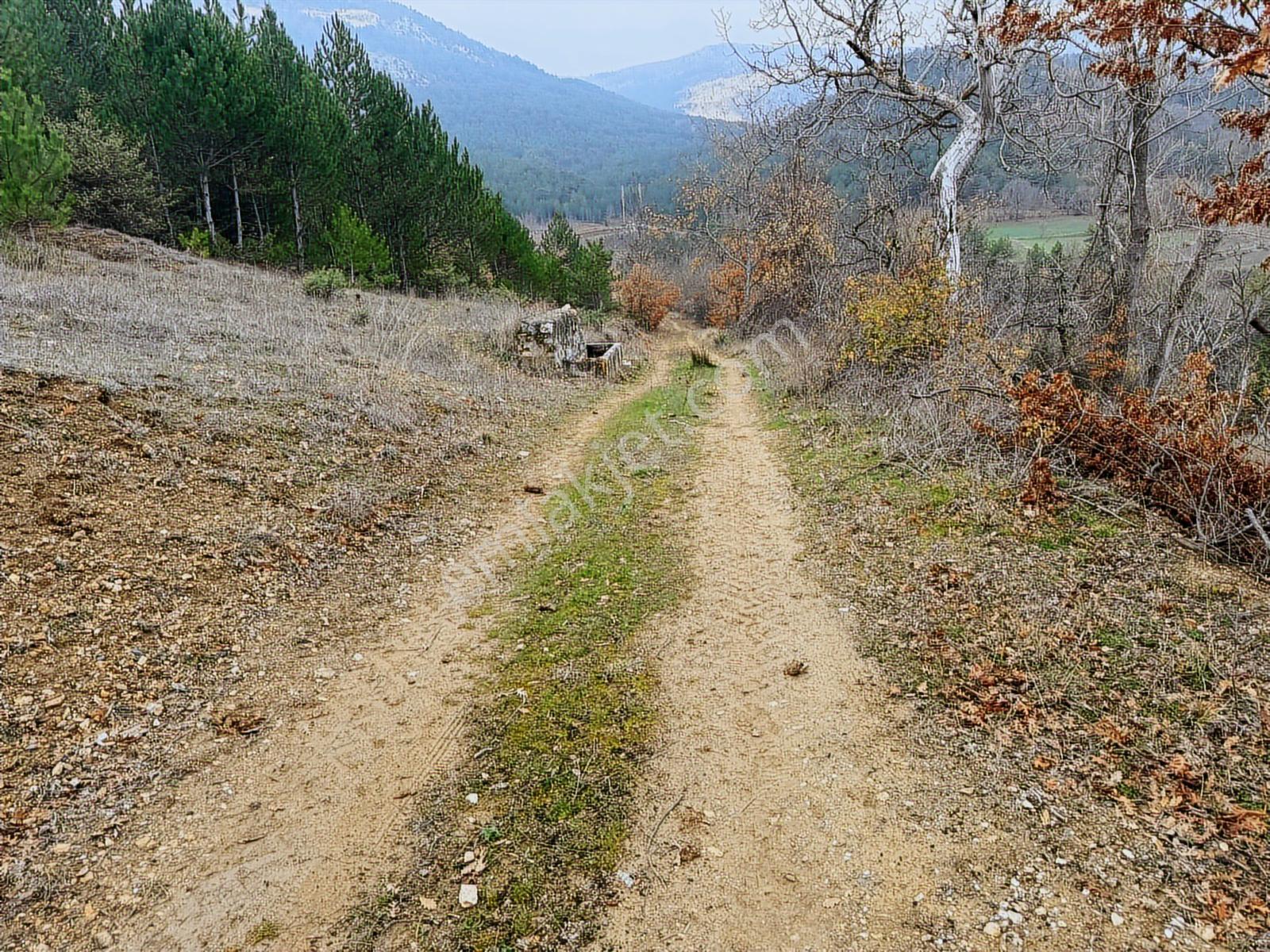 Resmi Yollu Arsa 206m2 - Görsel 29