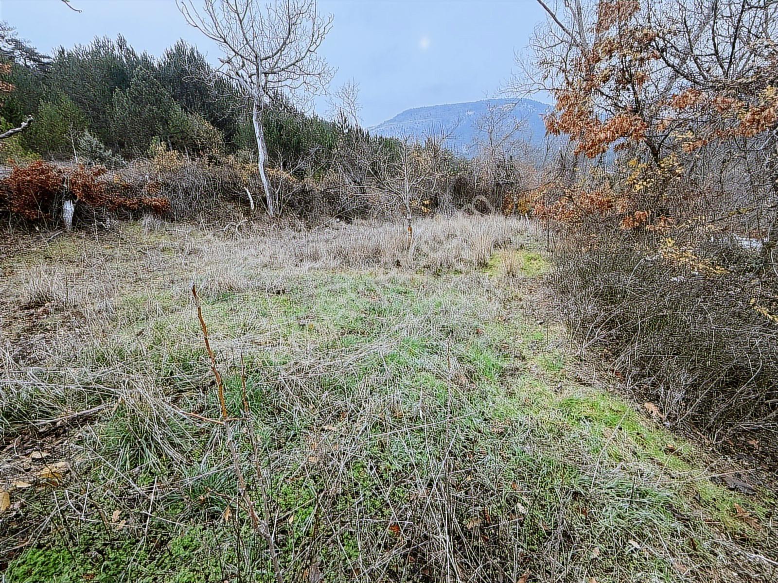 Resmi Yollu Arsa 206m2 - Görsel 7