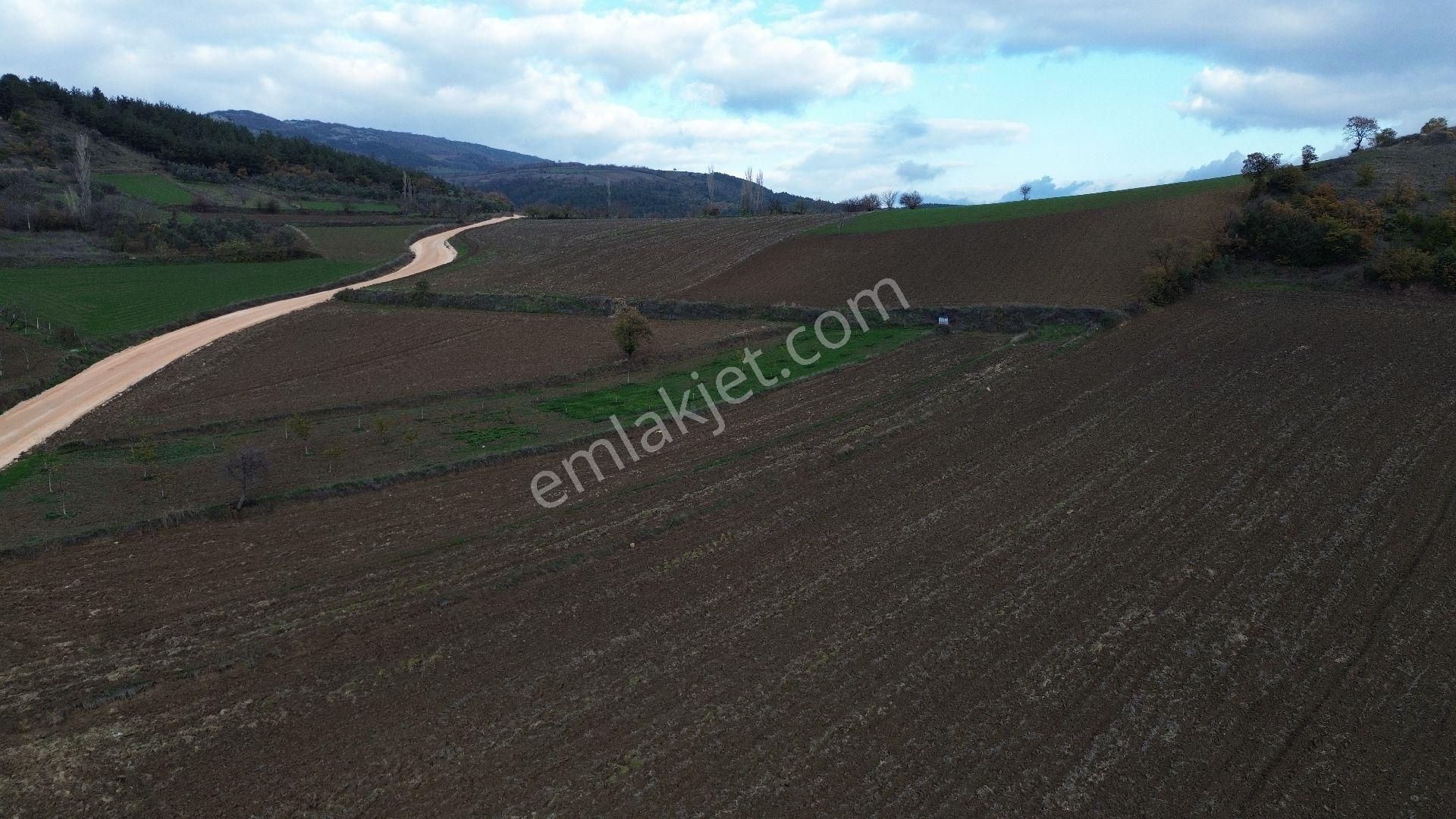 Bursa Yenişehir Kızılköy'de Satılık 831 M2 Hobi Bahçesi - Görsel 31