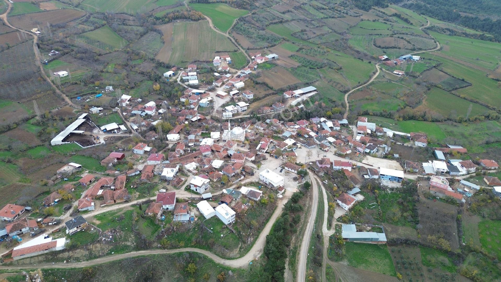 Bursa Yenişehir Kızılköy'de Satılık 831 M2 Hobi Bahçesi - Görsel 3