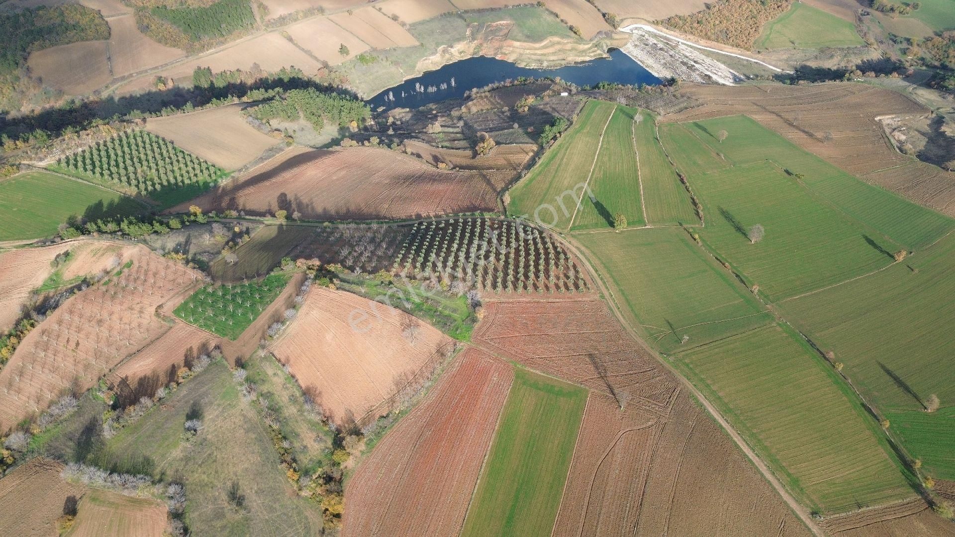 Bursa Yenişehir Kızılköy'de Satılık 831 M2 Hobi Bahçesi - Görsel 16