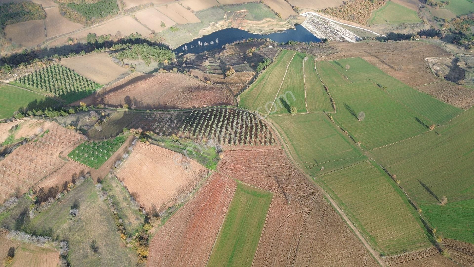 Bursa Yenişehir Kızılköy'de Satılık 831 M2 Hobi Bahçesi - Görsel 15