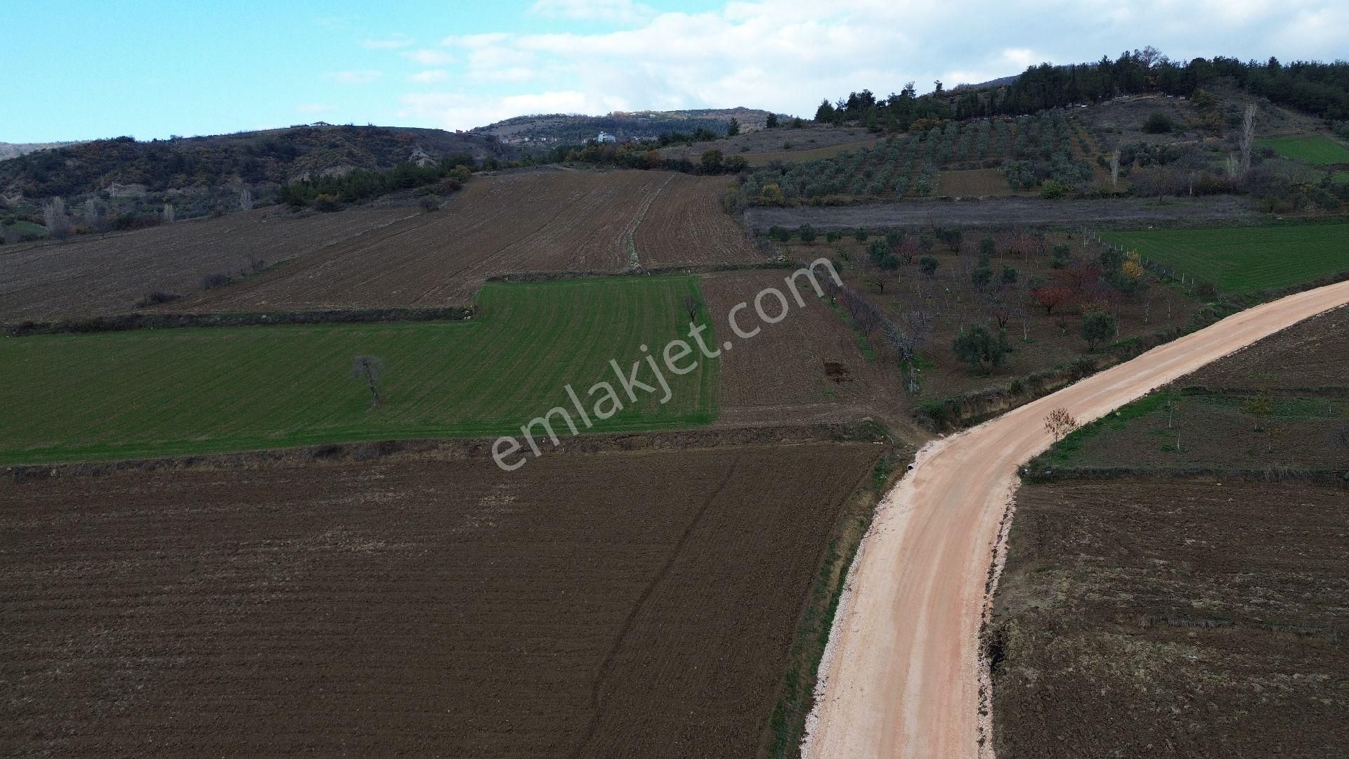 Bursa Yenişehir Kızılköy'de Satılık 831 M2 Hobi Bahçesi - Görsel 30