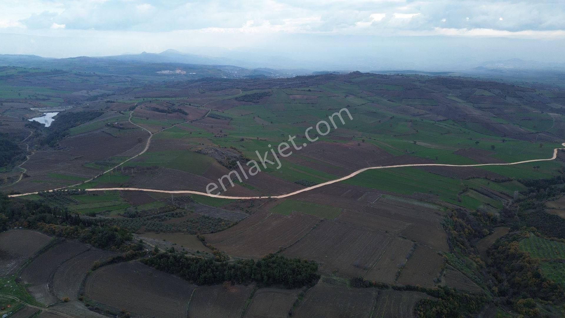 Bursa Yenişehir Kızılköy'de Satılık 831 M2 Hobi Bahçesi - Görsel 2