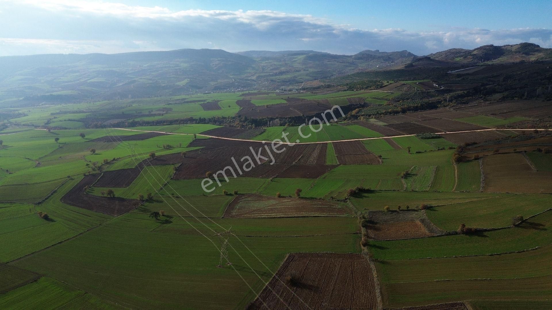 Bursa Yenişehir Kızılköy'de Satılık 831 M2 Hobi Bahçesi - Görsel 13