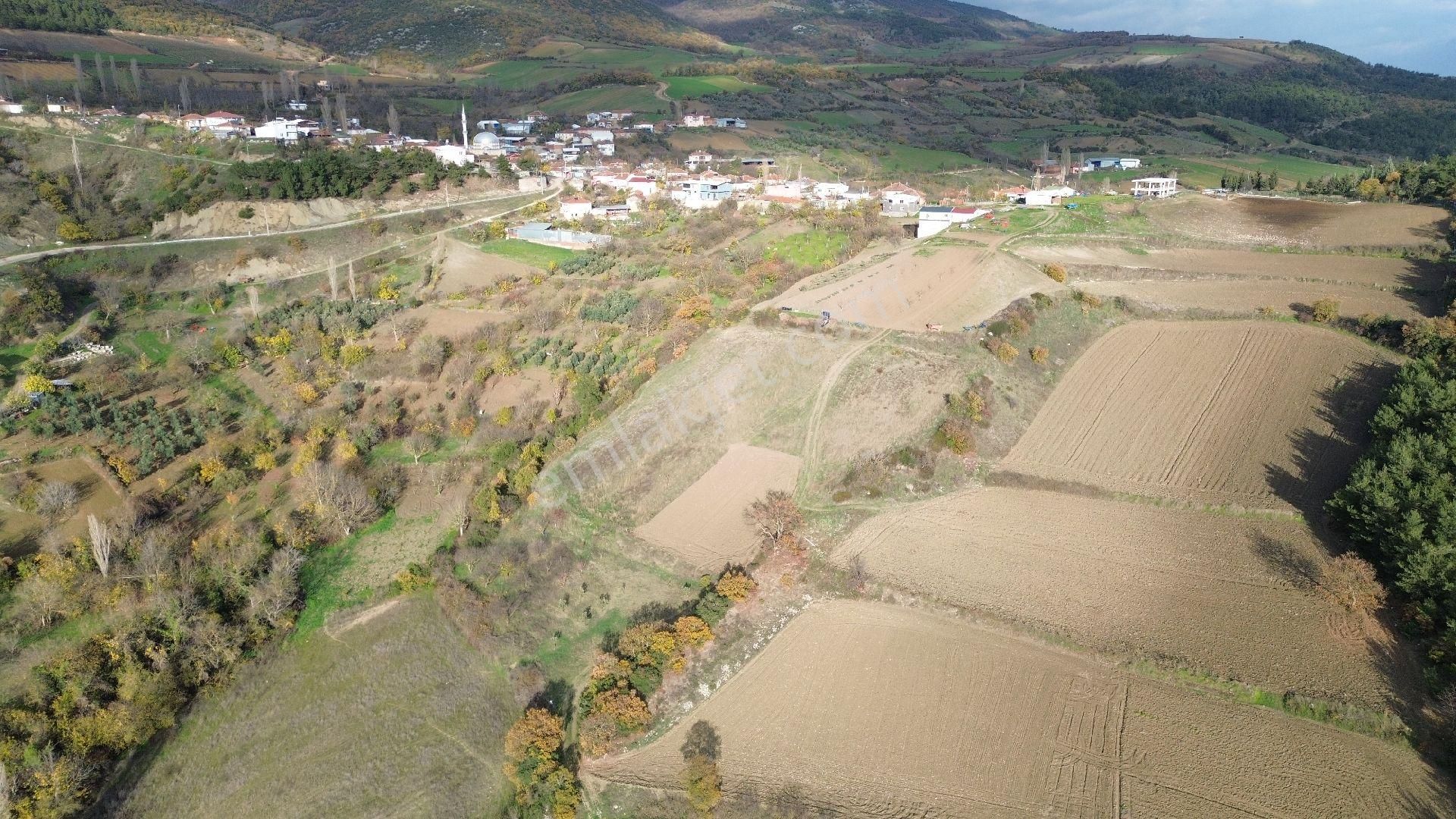 Bursa Yenişehir Kızılköy'de Satılık 831 M2 Hobi Bahçesi - Görsel 25