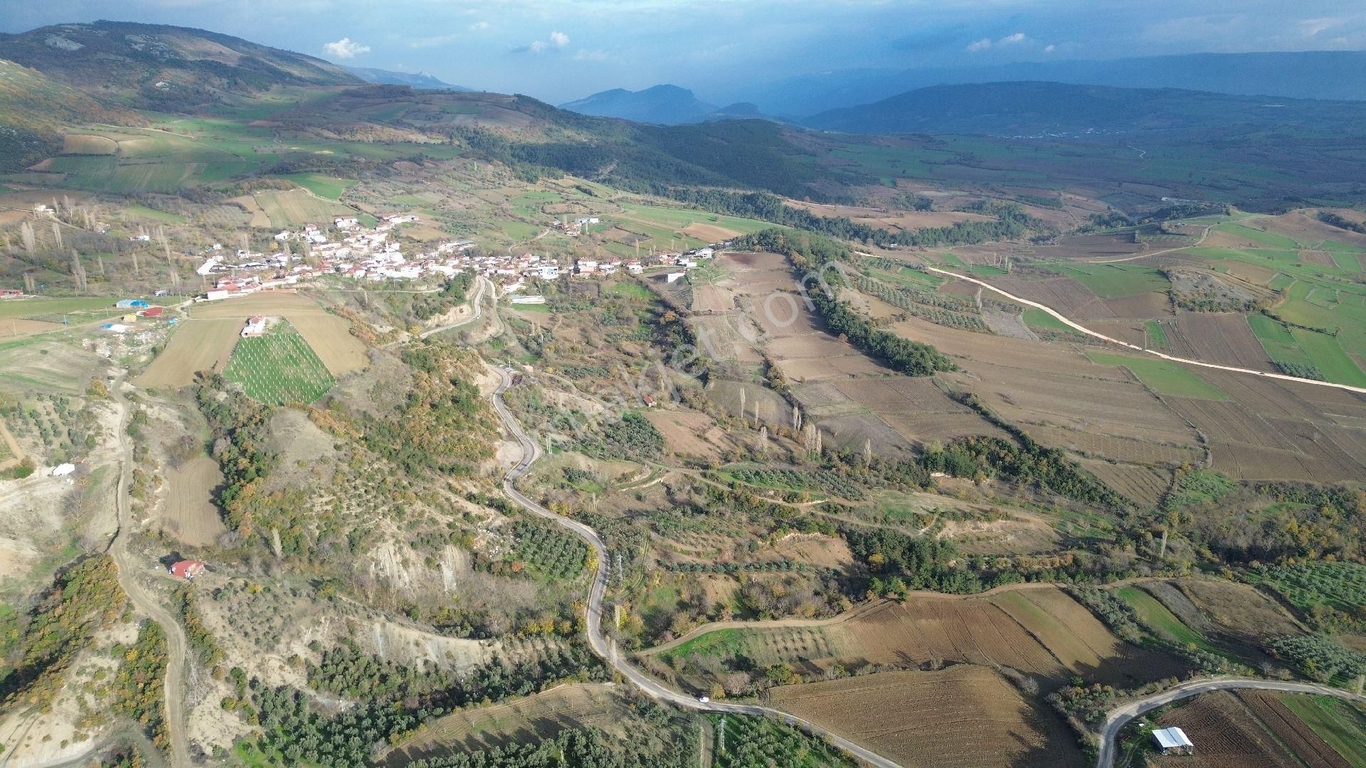 Bursa Yenişehir Kızılköy'de Satılık 831 M2 Hobi Bahçesi - Görsel 28