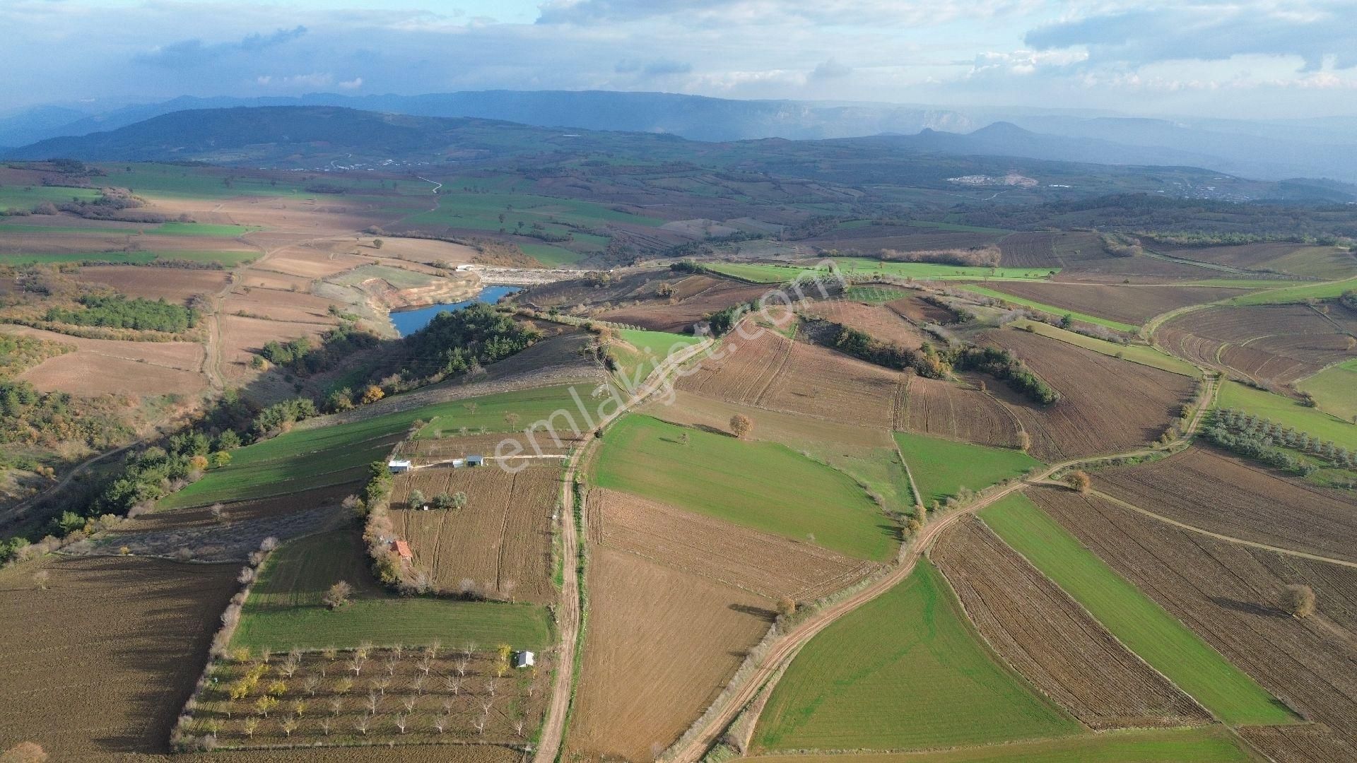 Bursa Yenişehir Kızılköy'de Satılık 1.118 M2 Hobi Bahçesi - Görsel 26