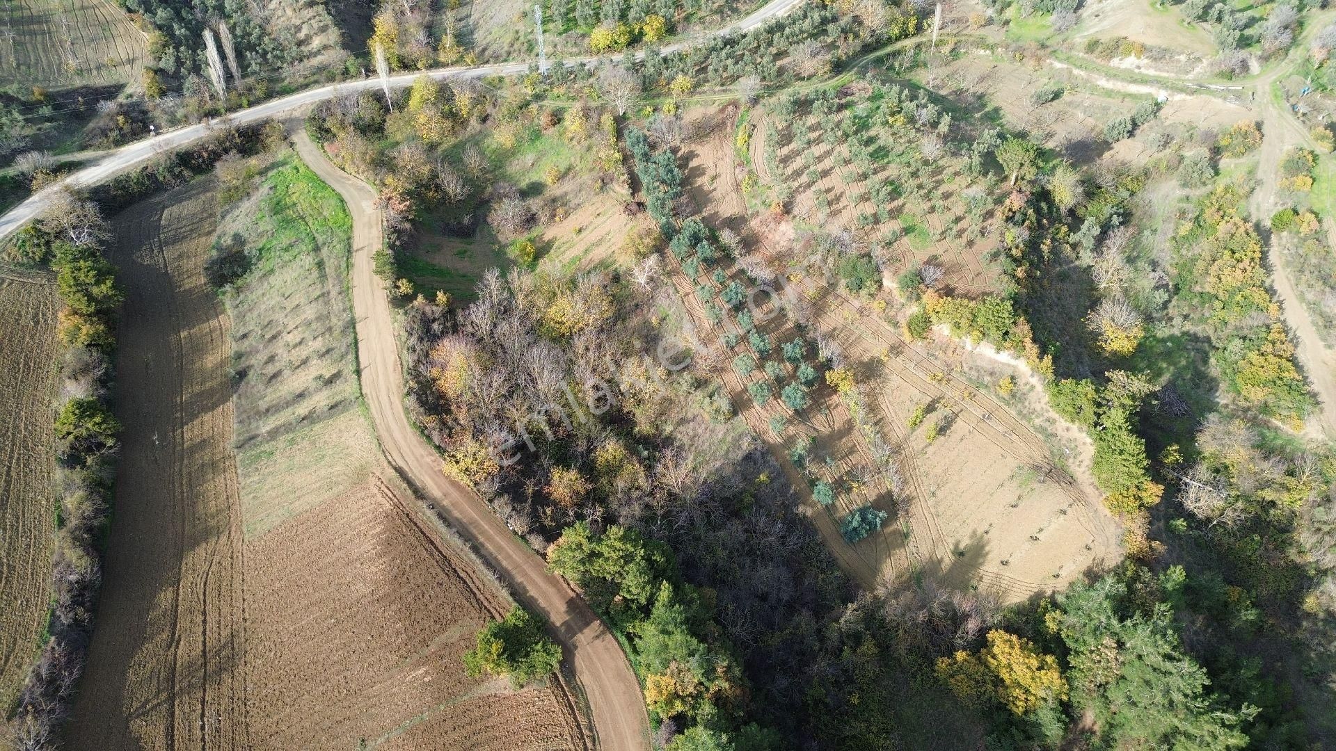 Bursa Yenişehir Kızılköy'de Satılık 1.118 M2 Hobi Bahçesi - Görsel 22