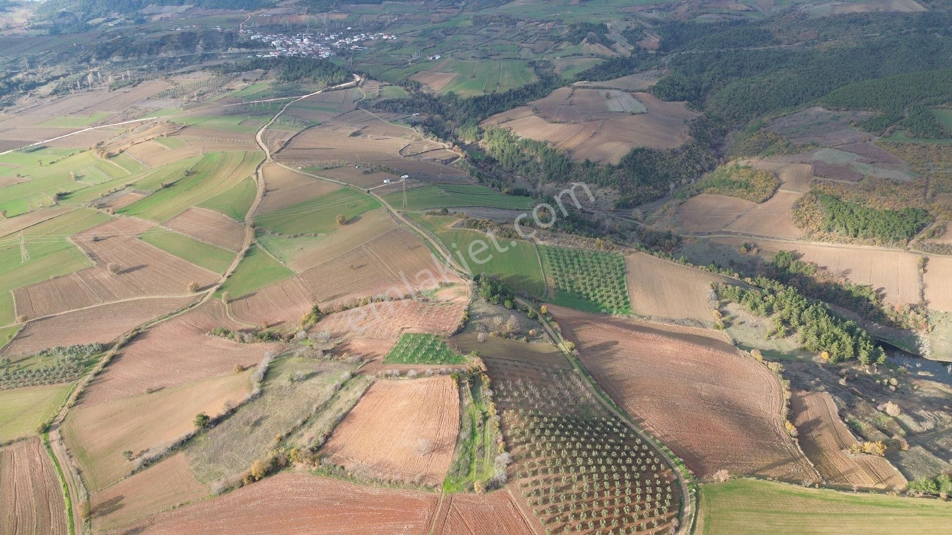 Bursa Yenişehir Kızılköy'de Satılık 1.118 M2 Hobi Bahçesi - Görsel 31