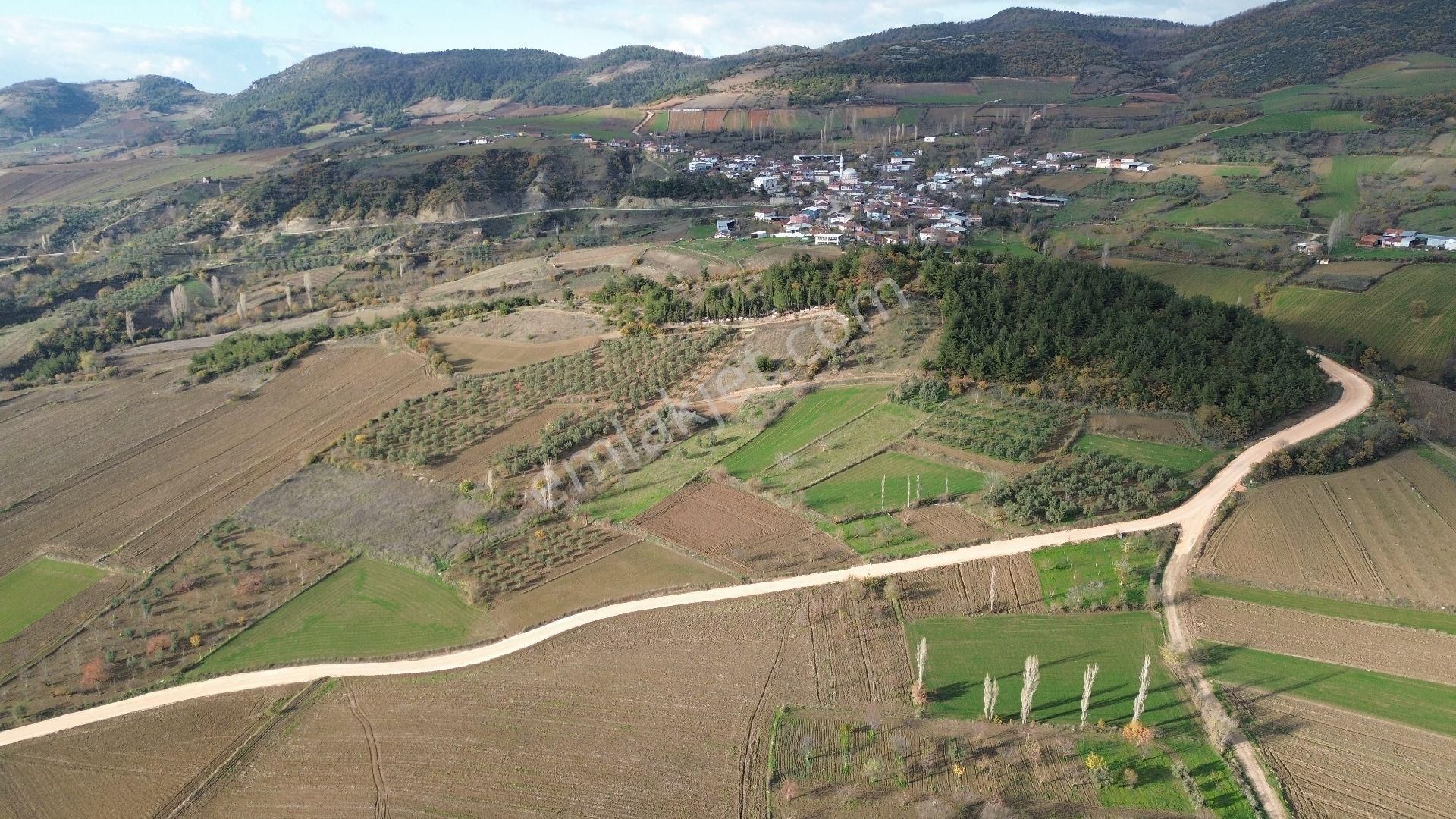 Bursa Yenişehir Kızılköy'de Satılık 1.118 M2 Hobi Bahçesi - Görsel 27