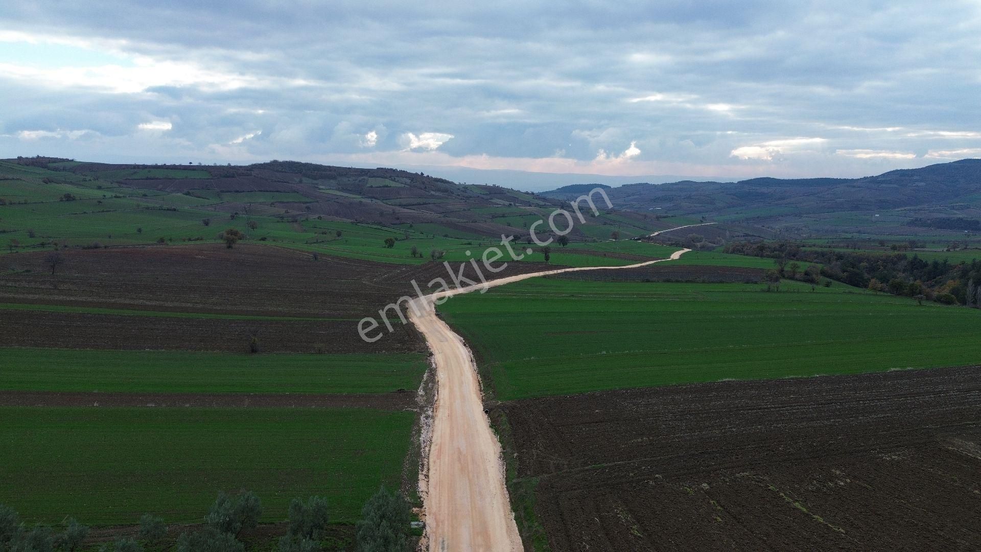 Bursa Yenişehir Kızılköy'de Satılık 1.118 M2 Hobi Bahçesi - Görsel 15