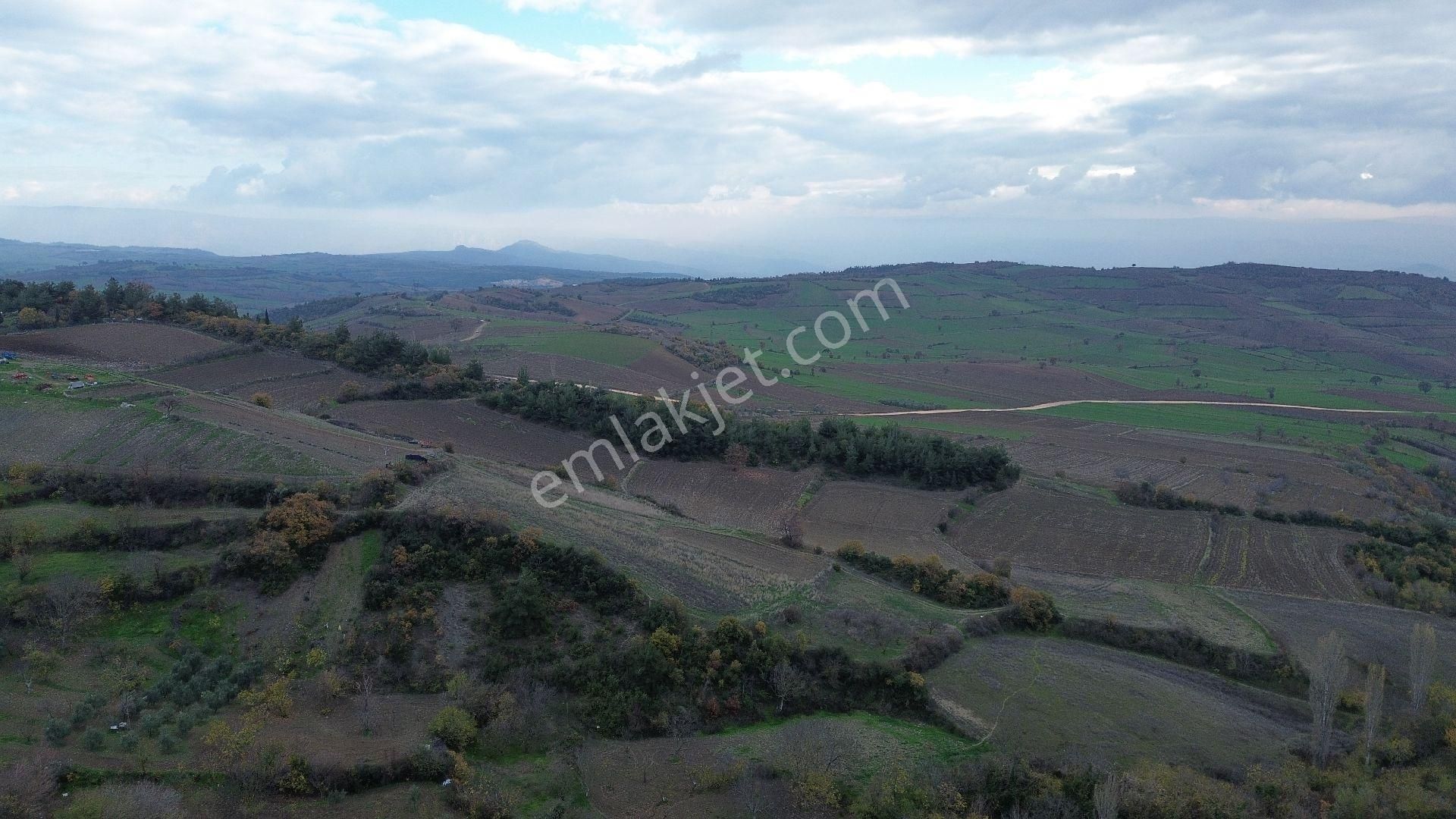 Bursa Yenişehir Kızılköy'de Satılık 1.118 M2 Hobi Bahçesi - Görsel 16