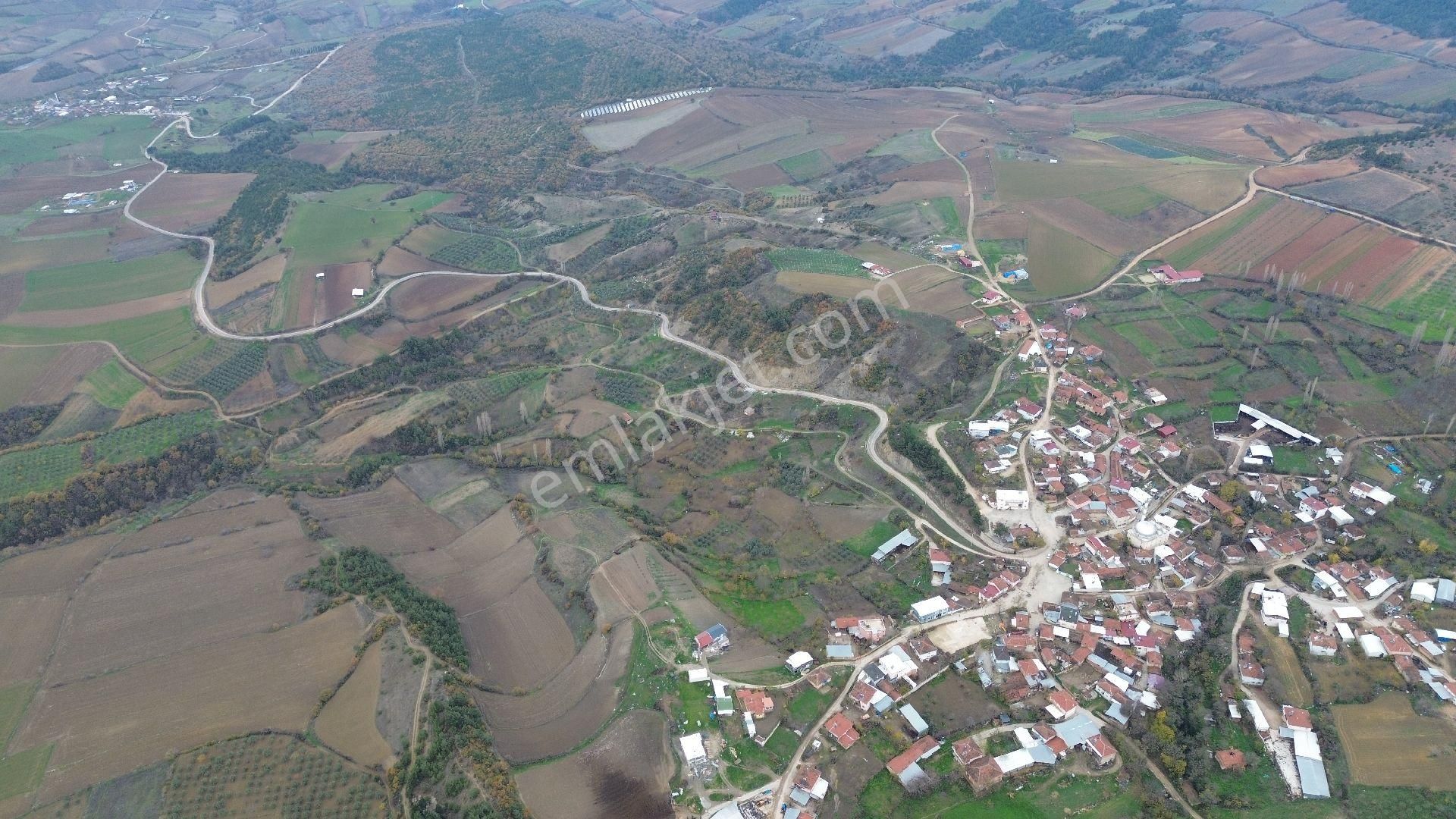 Bursa Yenişehir Kızılköy'de Satılık 1.118 M2 Hobi Bahçesi - Görsel 8