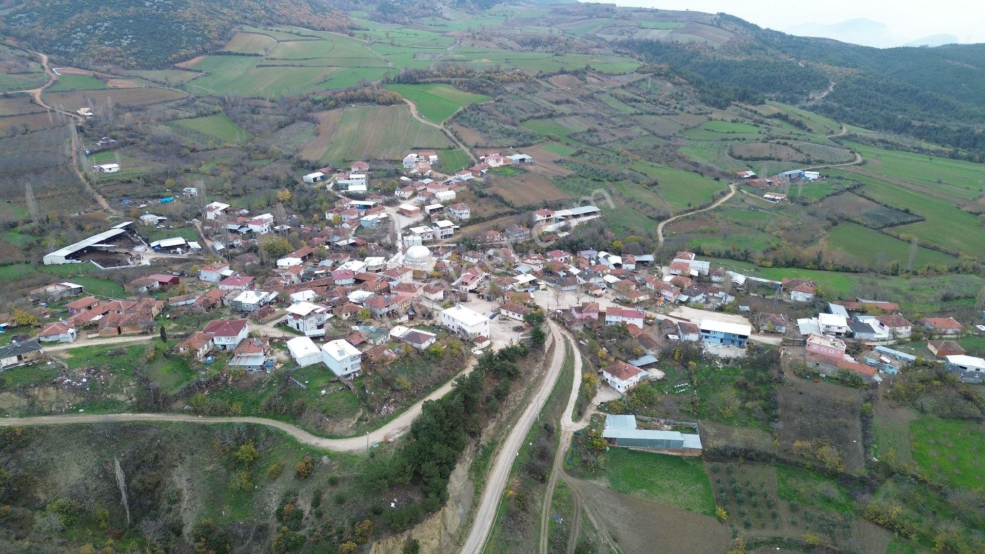 Bursa Yenişehir Kızılköy'de Satılık 1.528 M2 Hobi Bahçesi - Görsel 16