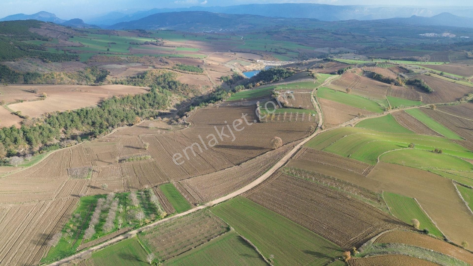 Bursa Yenişehir Kızılköy'de Satılık 1.528 M2 Hobi Bahçesi - Görsel 7