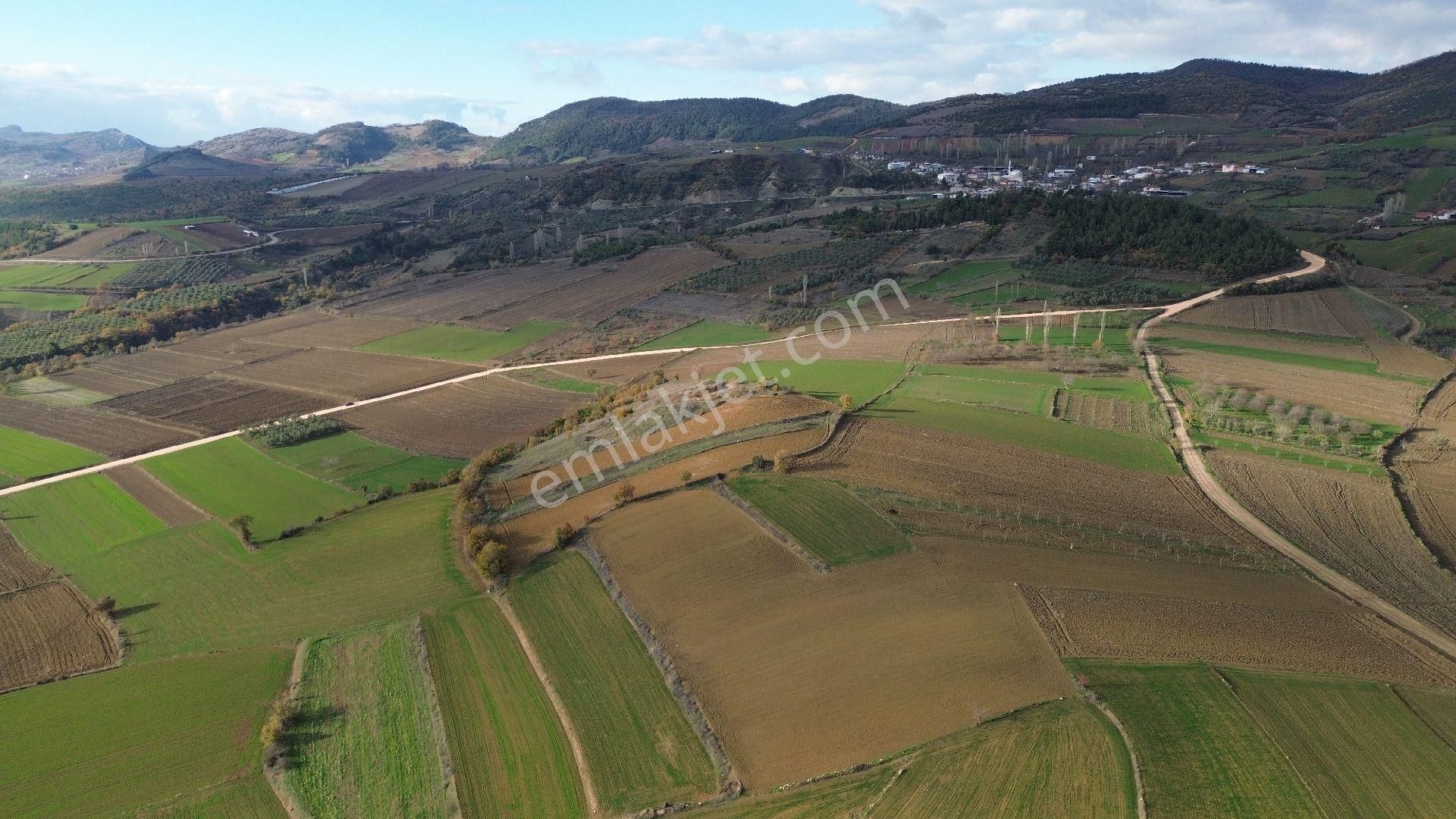 Bursa Yenişehir Kızılköy'de Satılık 1.528 M2 Hobi Bahçesi - Görsel 22