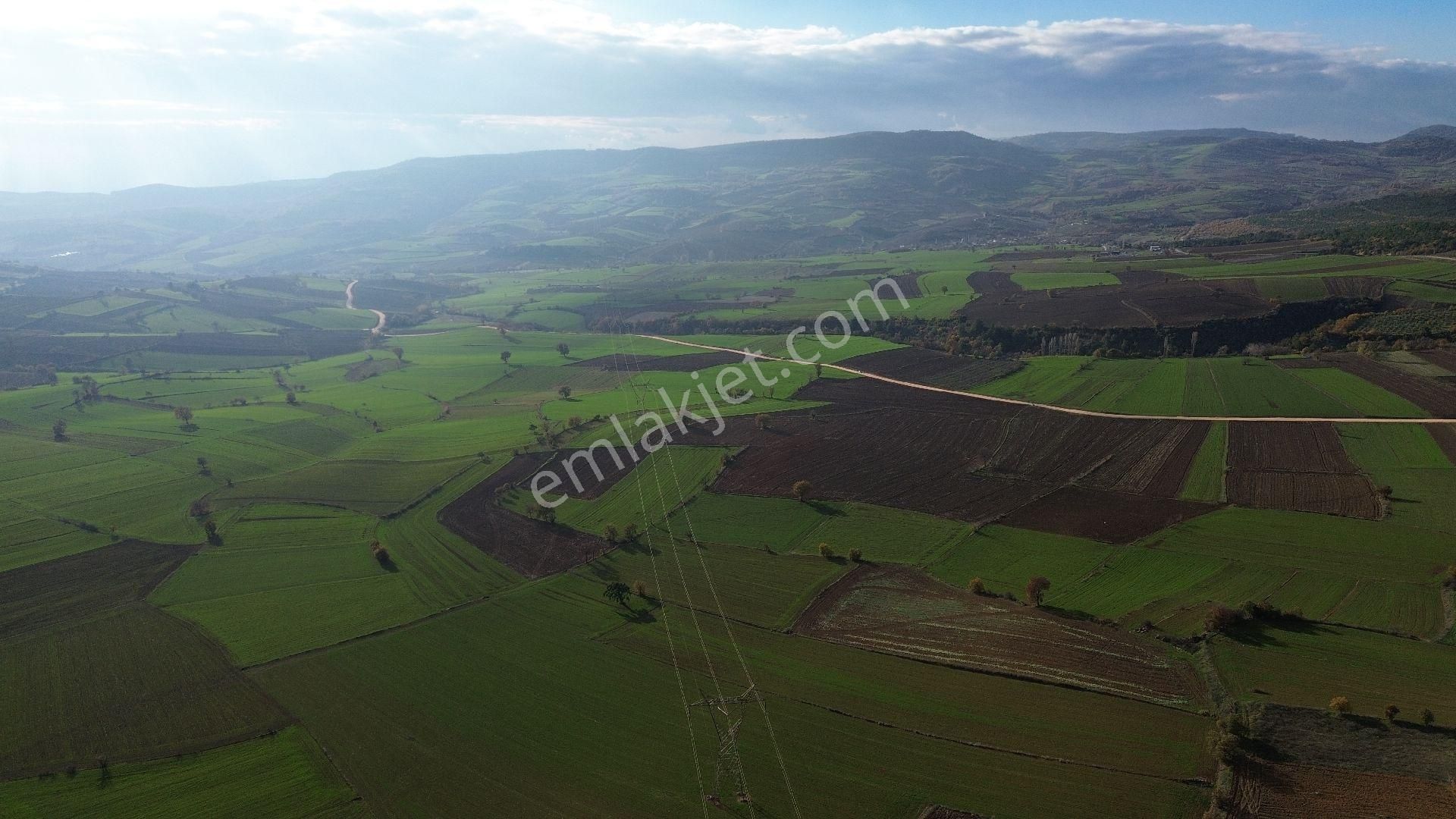 Bursa Yenişehir Kızılköy'de Satılık 1.528 M2 Hobi Bahçesi - Görsel 23