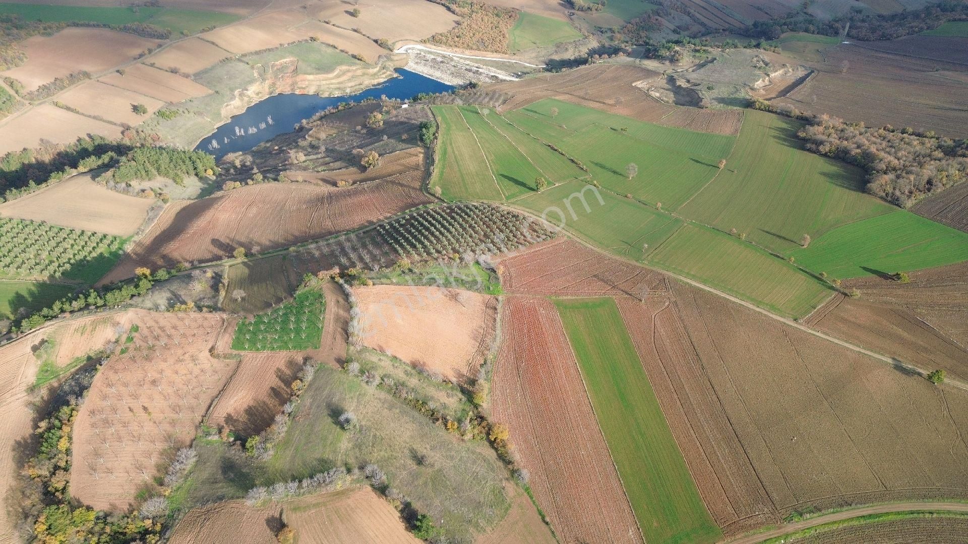 Bursa Yenişehir Kızılköy'de Satılık 1.528 M2 Hobi Bahçesi - Görsel 29