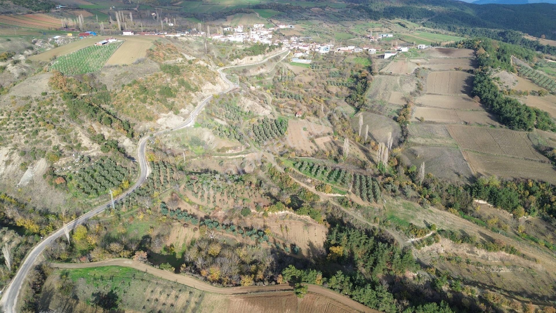 Bursa Yenişehir Kızılköy'de Satılık 1.528 M2 Hobi Bahçesi - Görsel 13