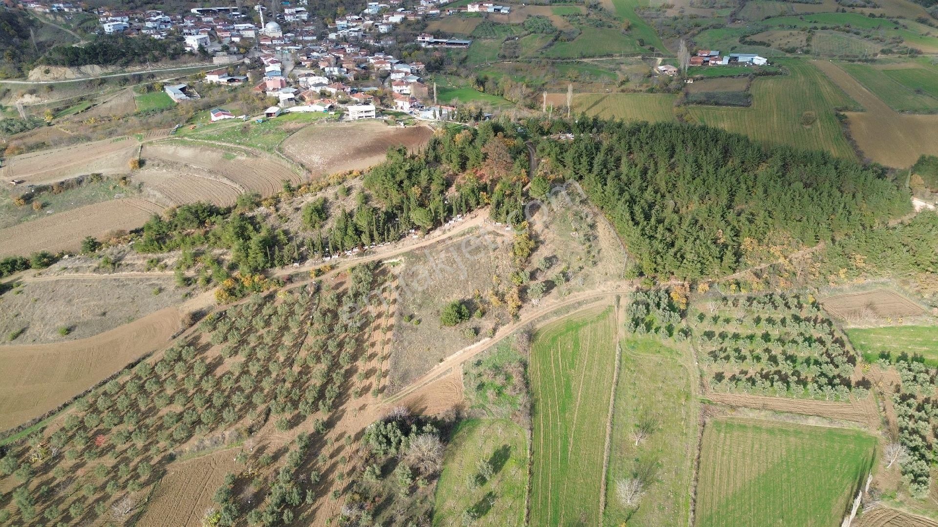 Bursa Yenişehir Kızılköy'de Satılık 1.528 M2 Hobi Bahçesi - Görsel 9