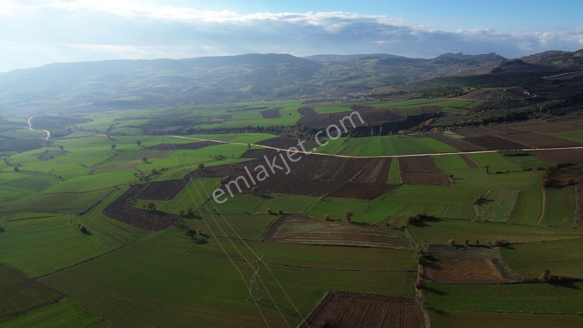 Bursa Yenişehir Kızılköy'de Satılık 1.528 M2 Hobi Bahçesi - Görsel 26