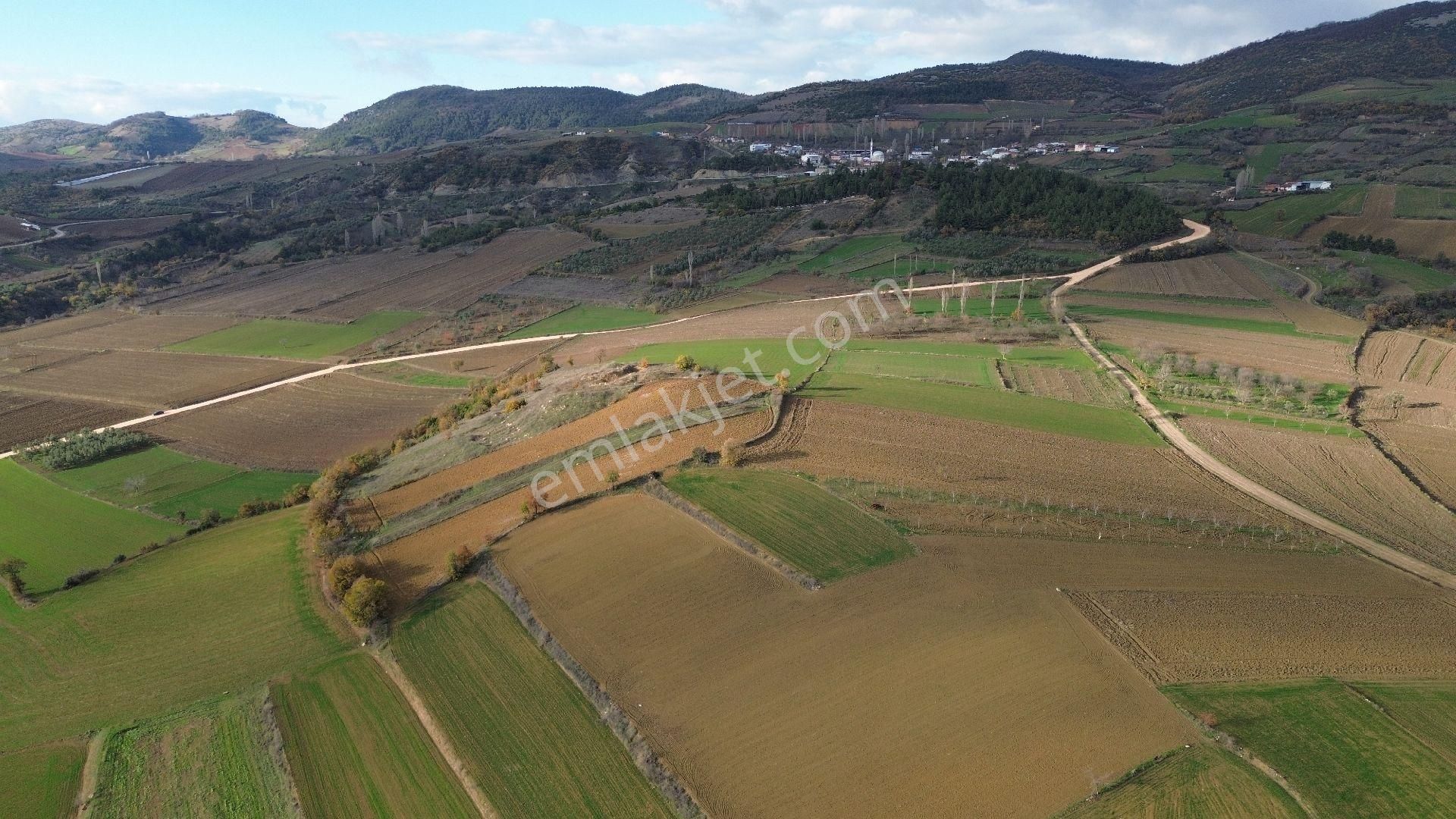 Bursa Yenişehir Kızılköy'de Satılık 1.528 M2 Hobi Bahçesi - Görsel 21