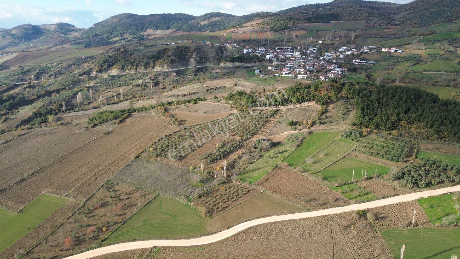 Bursa Yenişehir Kızılköy'de Satılık 1.528 M2 Hobi Bahçesi - Görsel 30