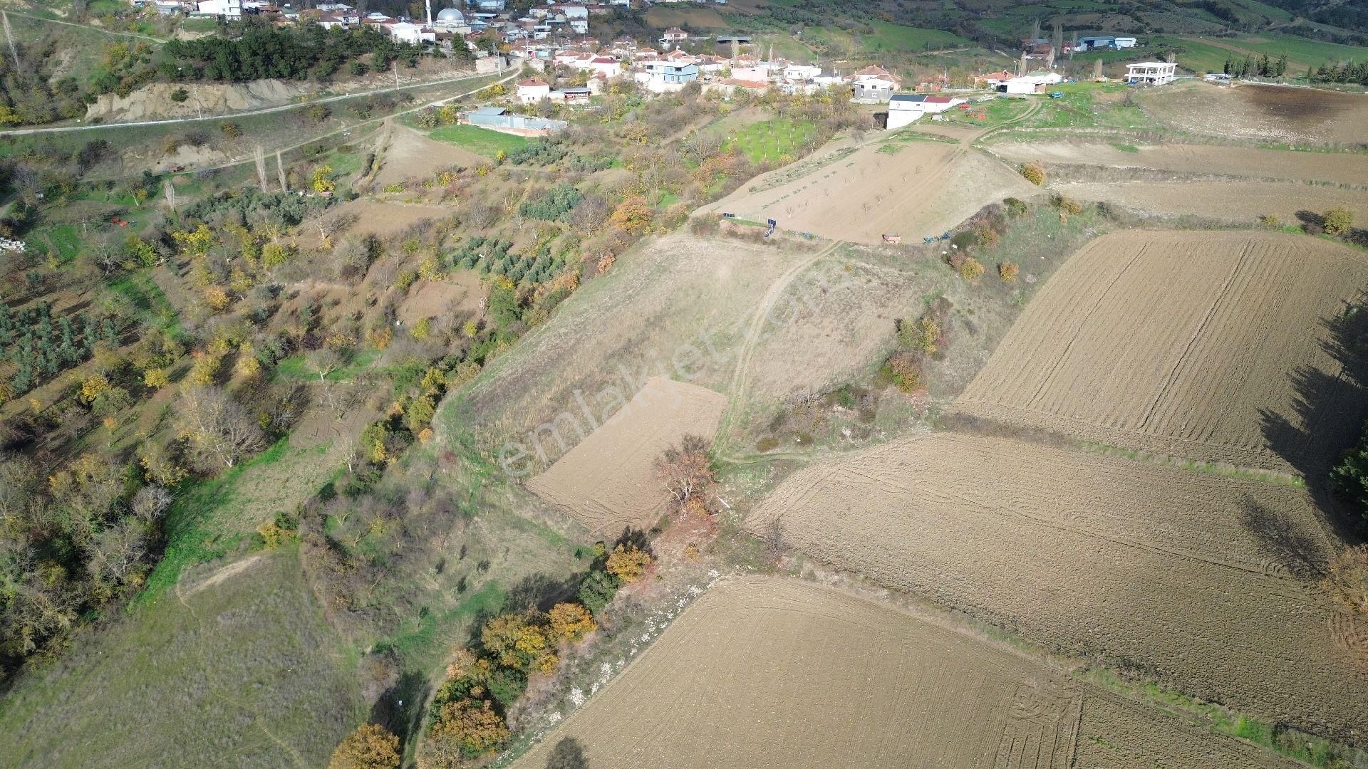 Bursa Yenişehir Kızılköy'de Satılık 1.528 M2 Hobi Bahçesi - Görsel 12