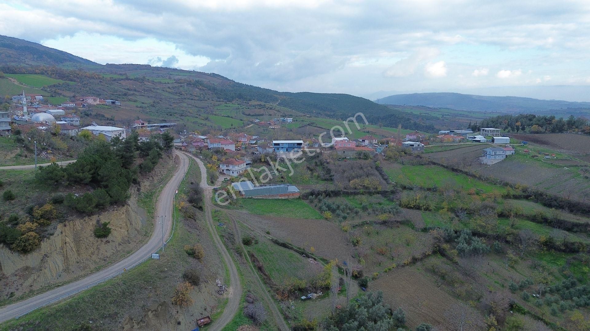 Bursa Yenişehir Kızılköy'de Satılık 1.528 M2 Hobi Bahçesi - Görsel 15