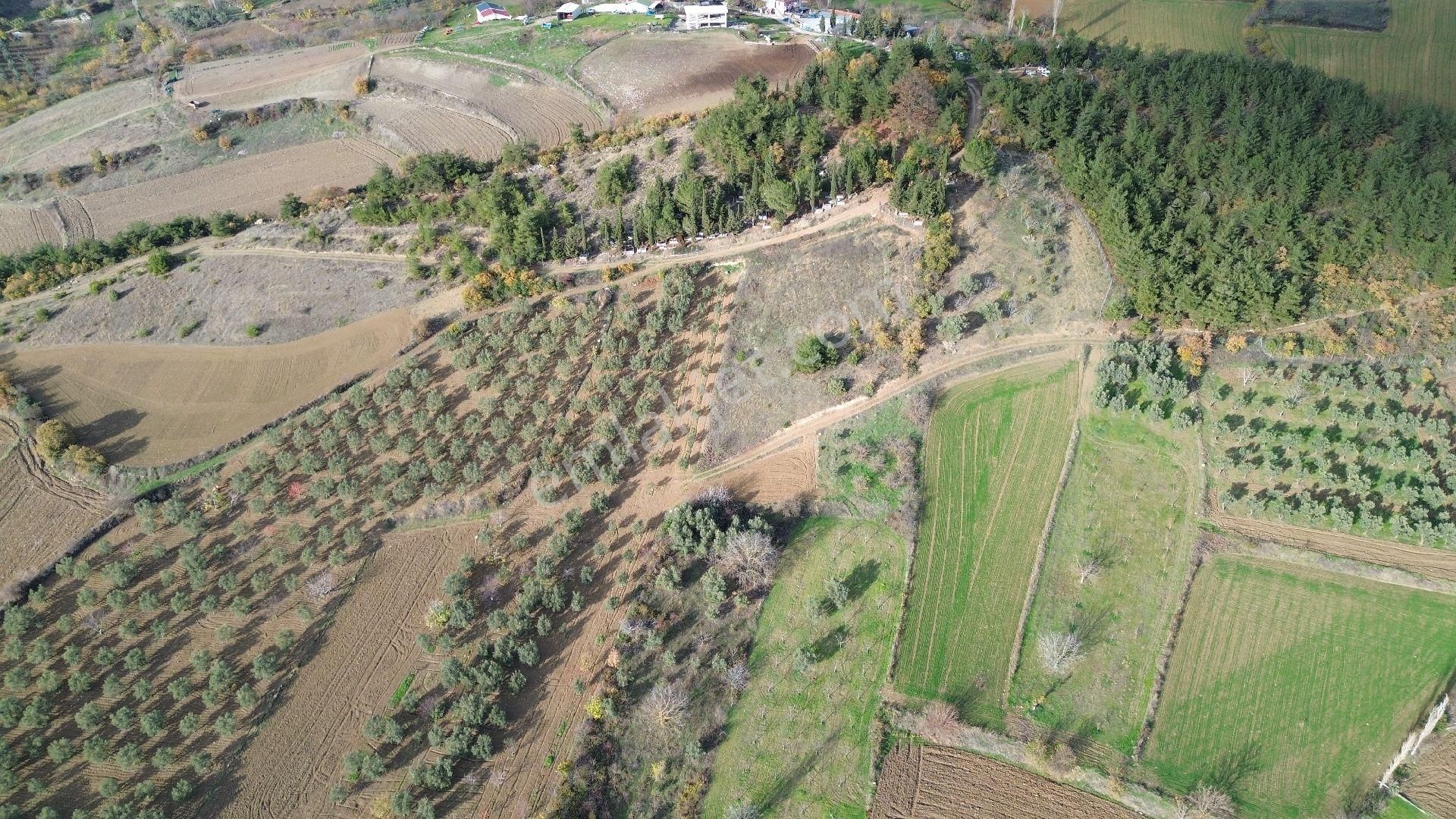 Bursa Yenişehir Kızılköy'de Satılık 1.528 M2 Hobi Bahçesi - Görsel 8