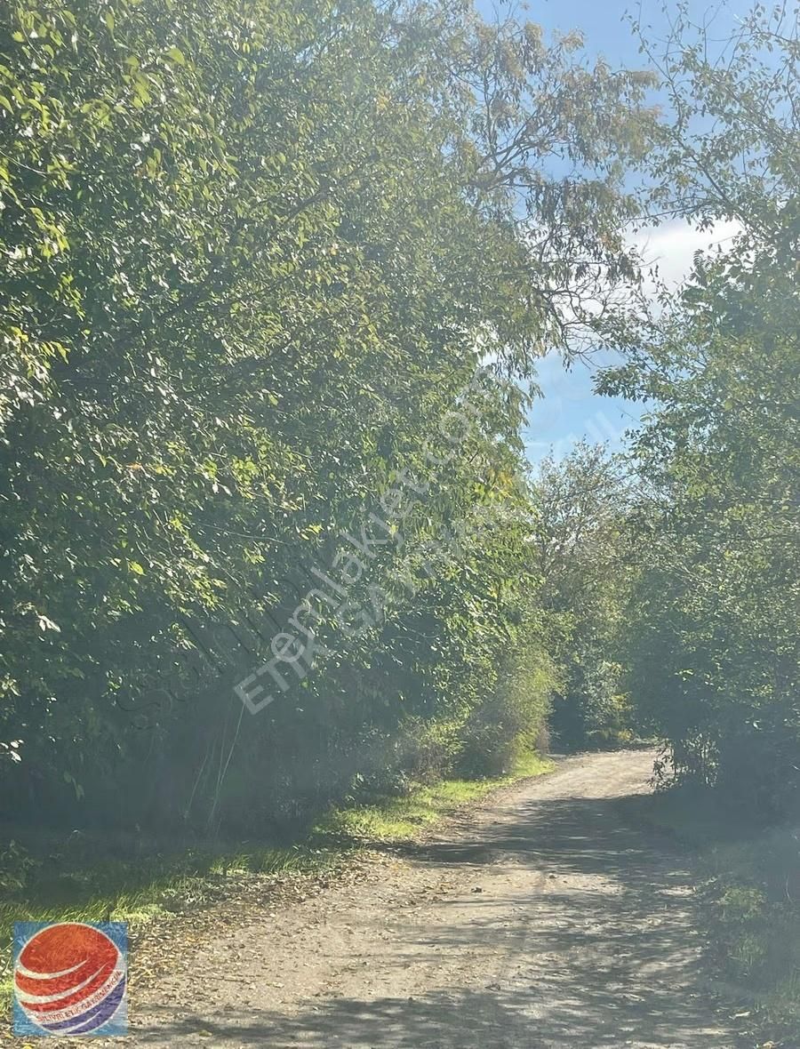 Silivri Akörende Köyiçinde Satılık Arsa - Görsel 6