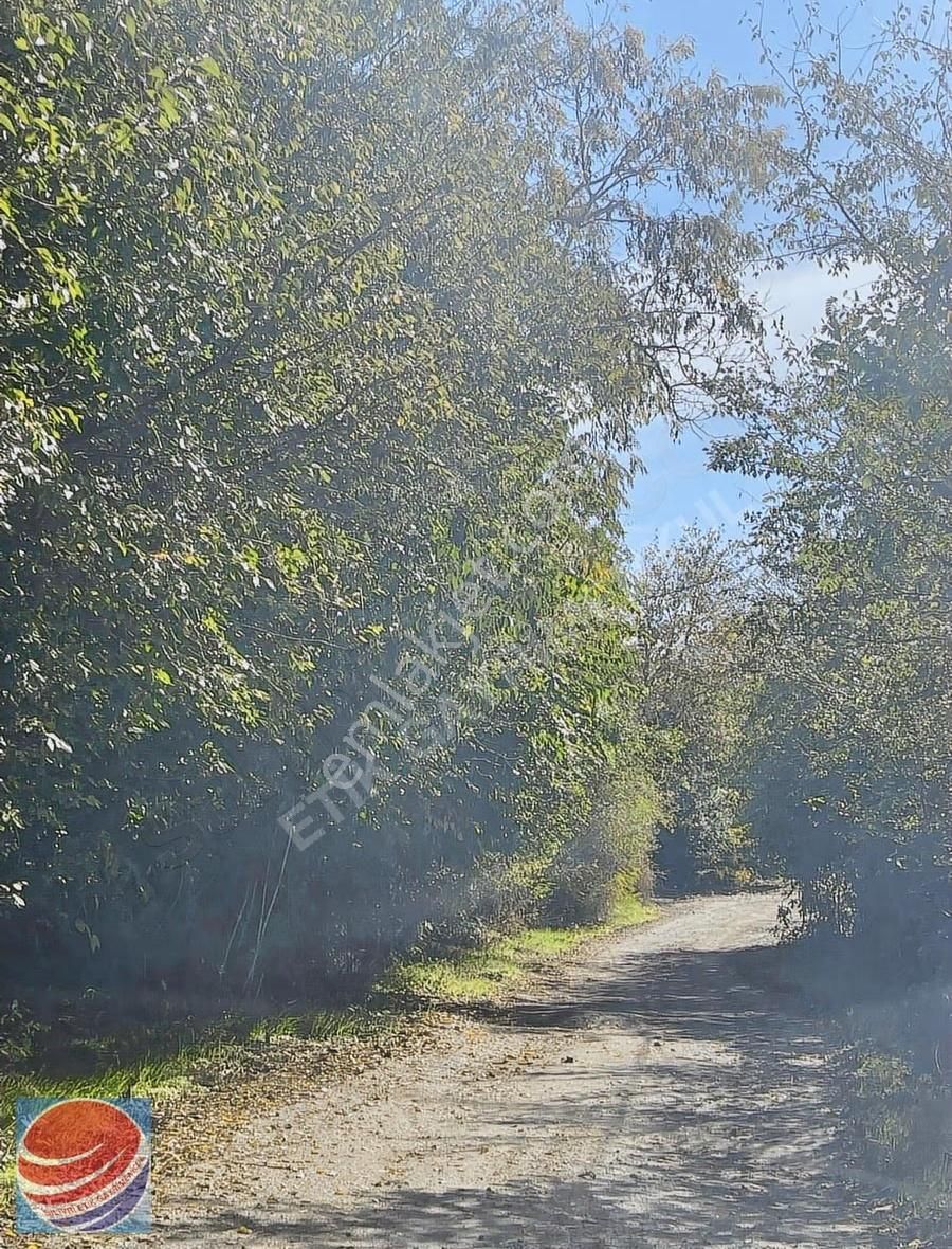 Silivri Akörende Köyiçinde Satılık Arsa - Görsel 13