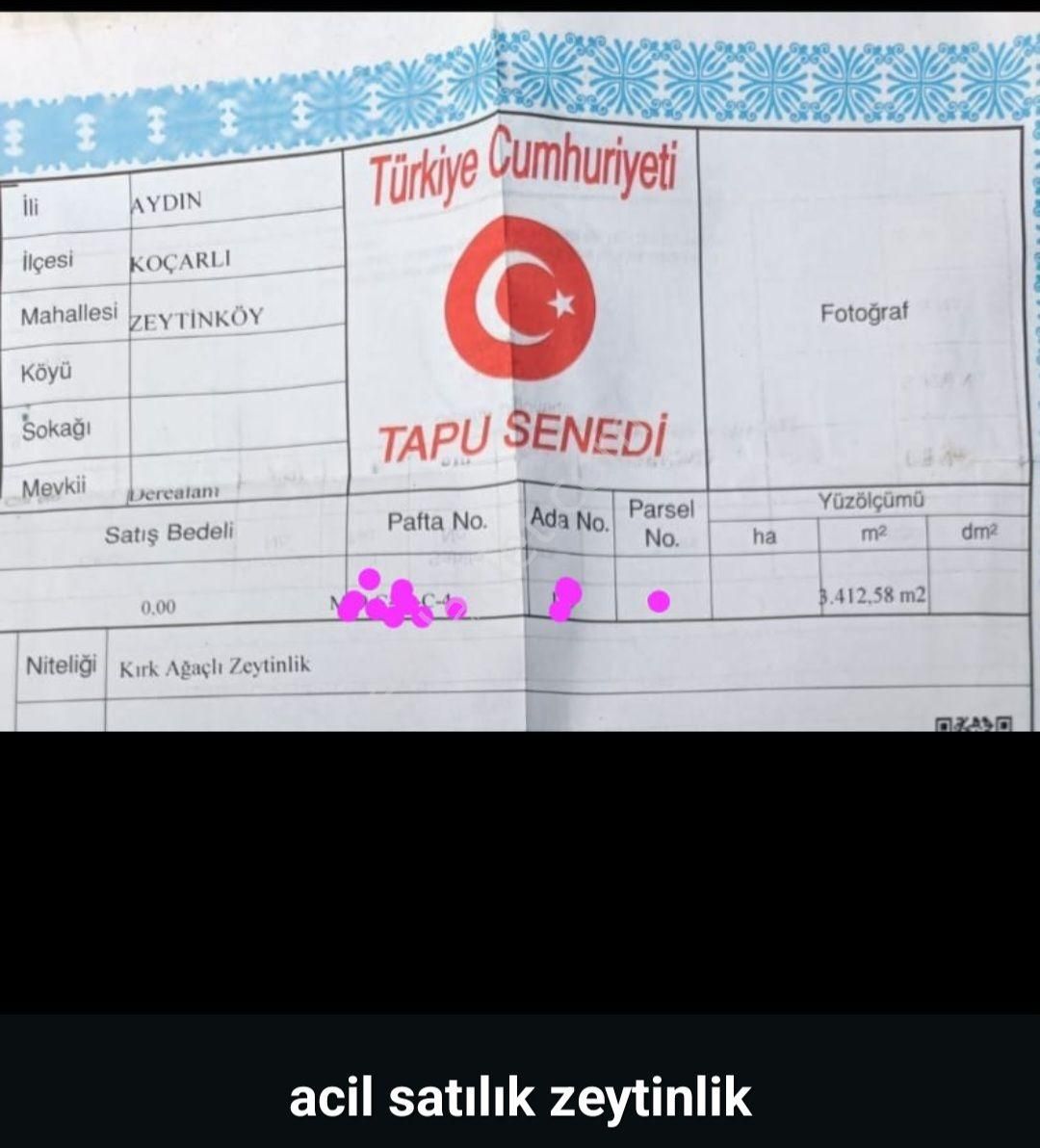Aydın Koçarlı Zeytin Köyde Satılık Yerimiz Var - Görsel 5