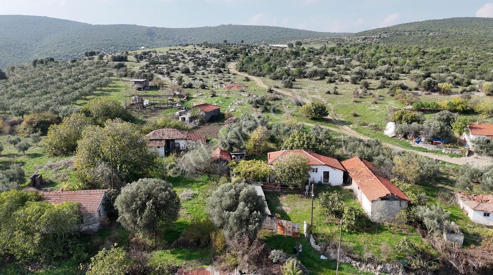 1090 M2 Arsa İçinde 2+1 Müstakil Ev İki Ayrı Ahır Ve Depolar - Görsel 7